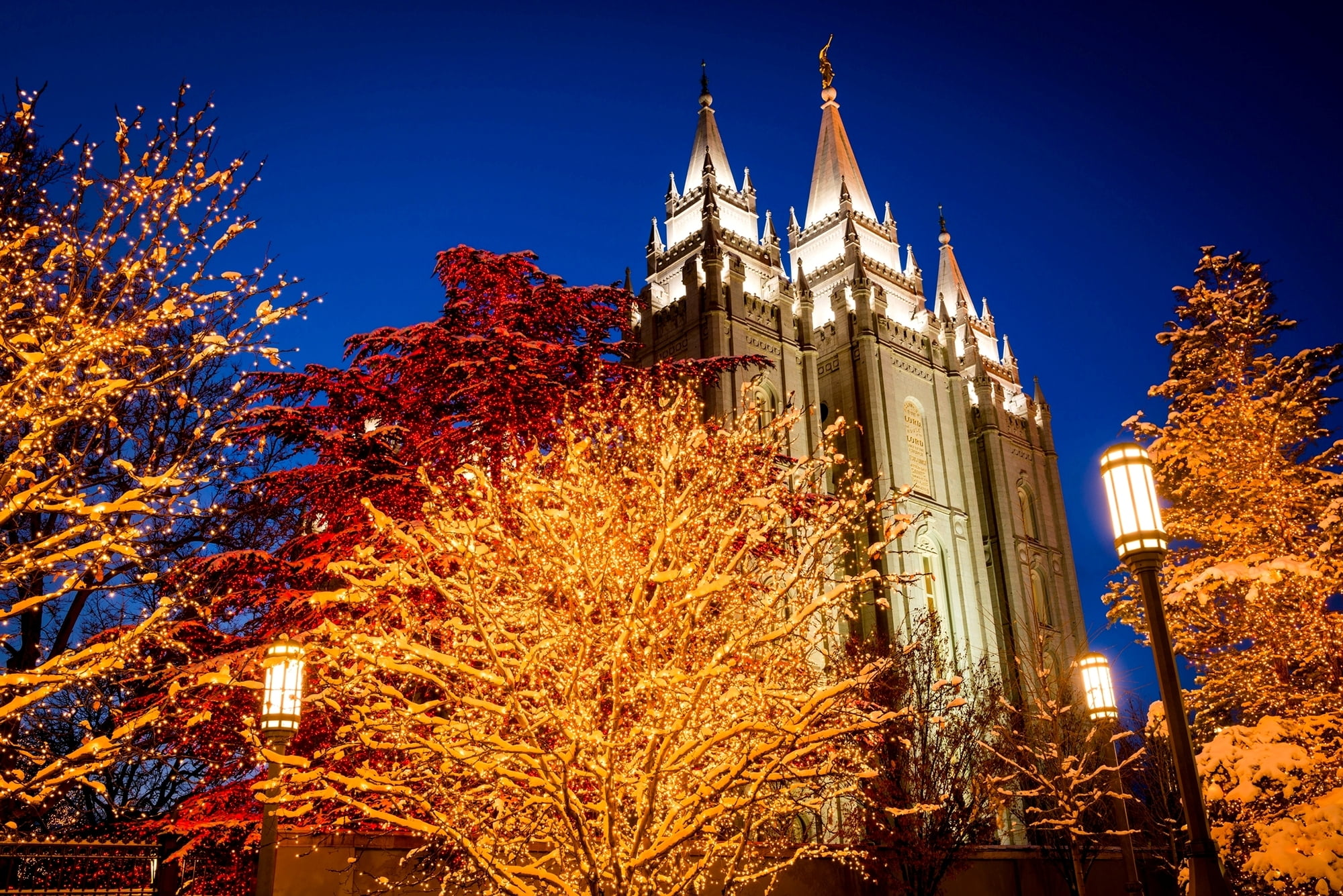 winter, no people, 1080P, USA, tourism, area, history, city, plant, built structure, Salt Lake City, sky, change, travel destinations, Church, holidays, HD Wallpaper