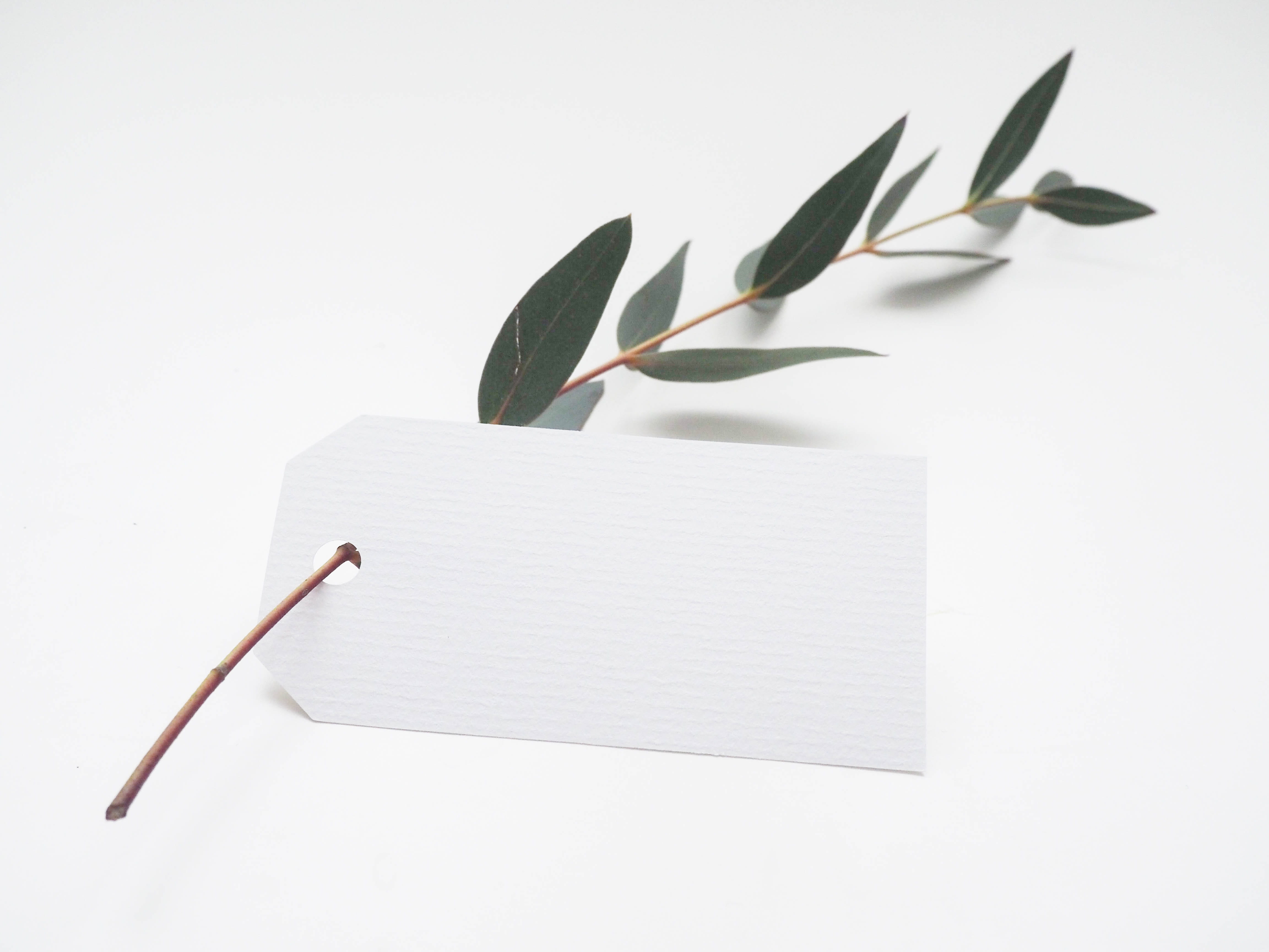 letter, cut out, branch, brown, mockup, indoors, white color, blank, minimal, art, 4K, directly above, styled, label, plant, white, scandinavian, leaf, HD Wallpaper