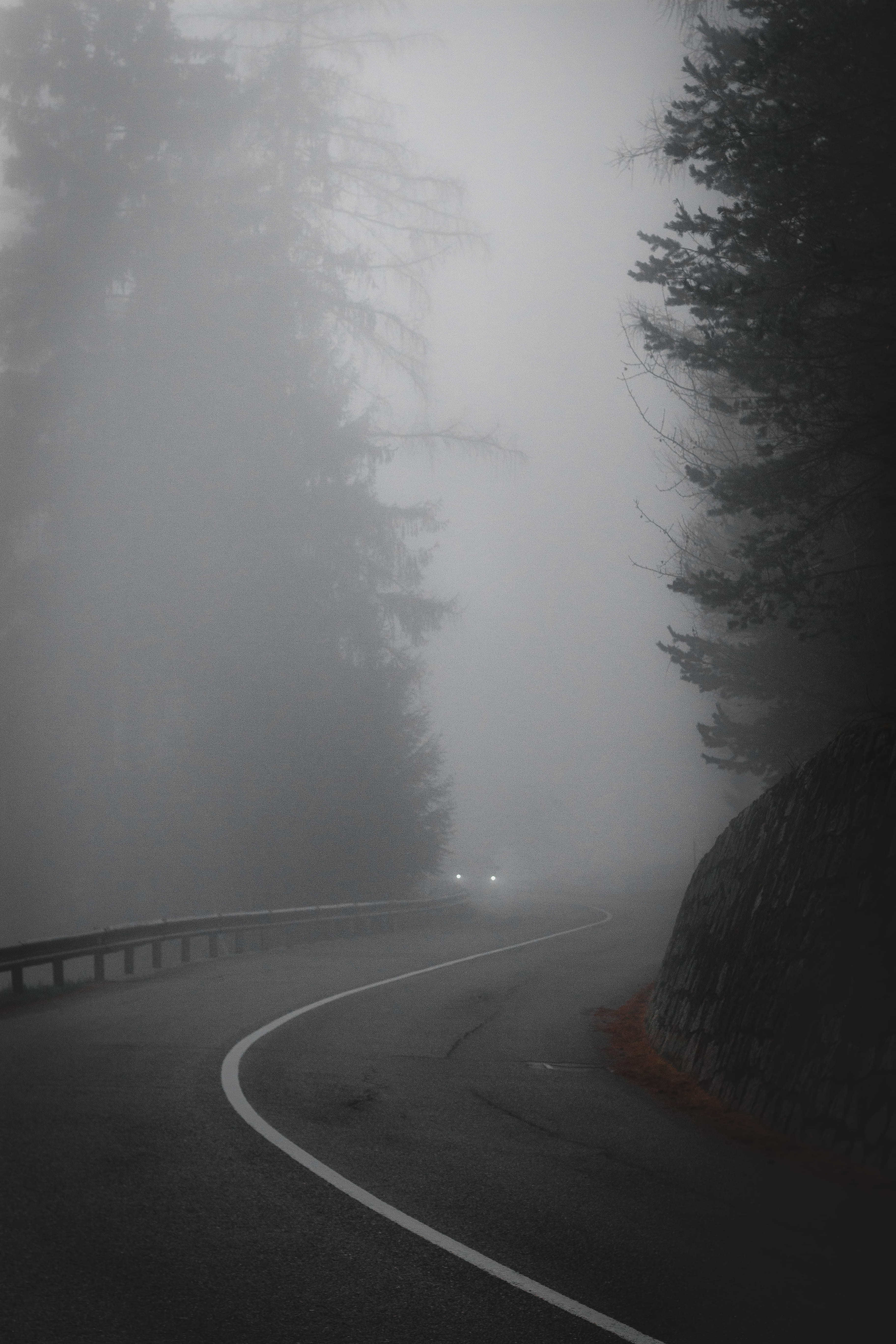 barrier, no people, tree, turned, car, tranquil scene, street, foggy, fog, winter, drive, light, transportation, non-urban scene, near, outdoors, road, Phone HD Wallpaper