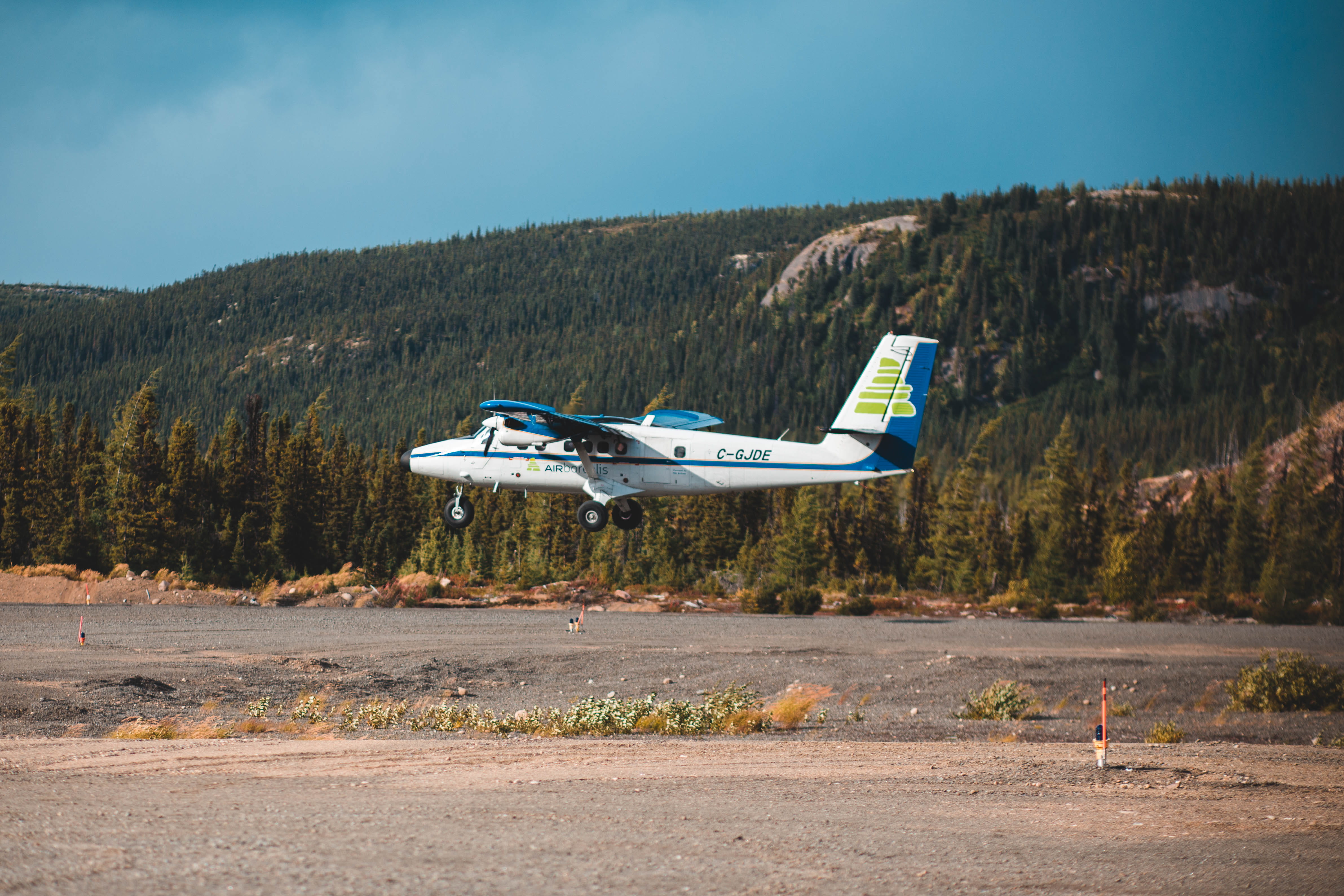 no people, plant, transportation, jet, military, outdoors, sky, ground, flying, airfield, 4K, animal, tree, side view, white, airplane, leisure activities, HD Wallpaper