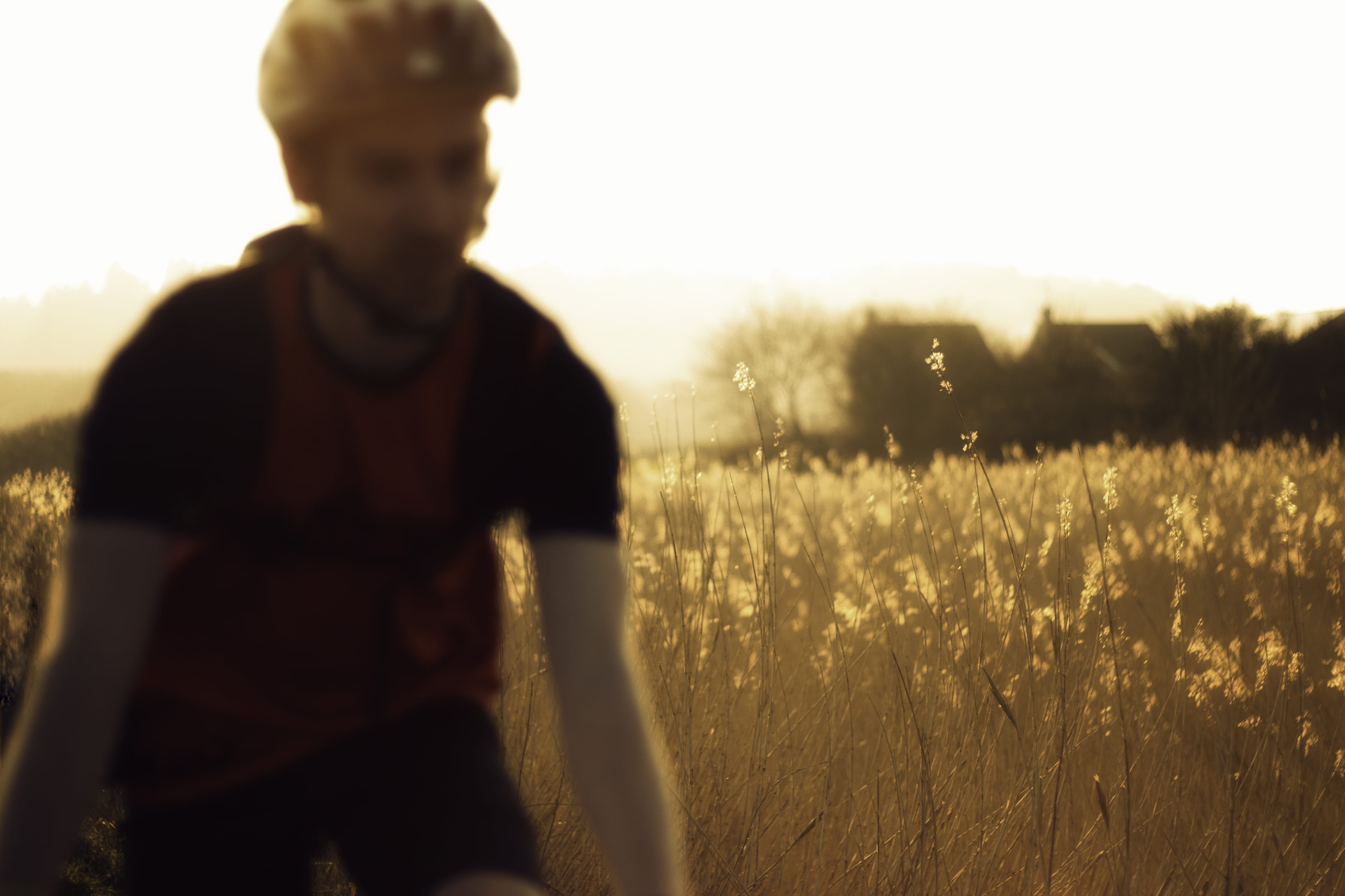 photography, three quarter length, looking, 5K, near, nature, plants, bicycle, young adult, grass, contemplation, blur, men, outdoors, focus, rider, ride, HD Wallpaper