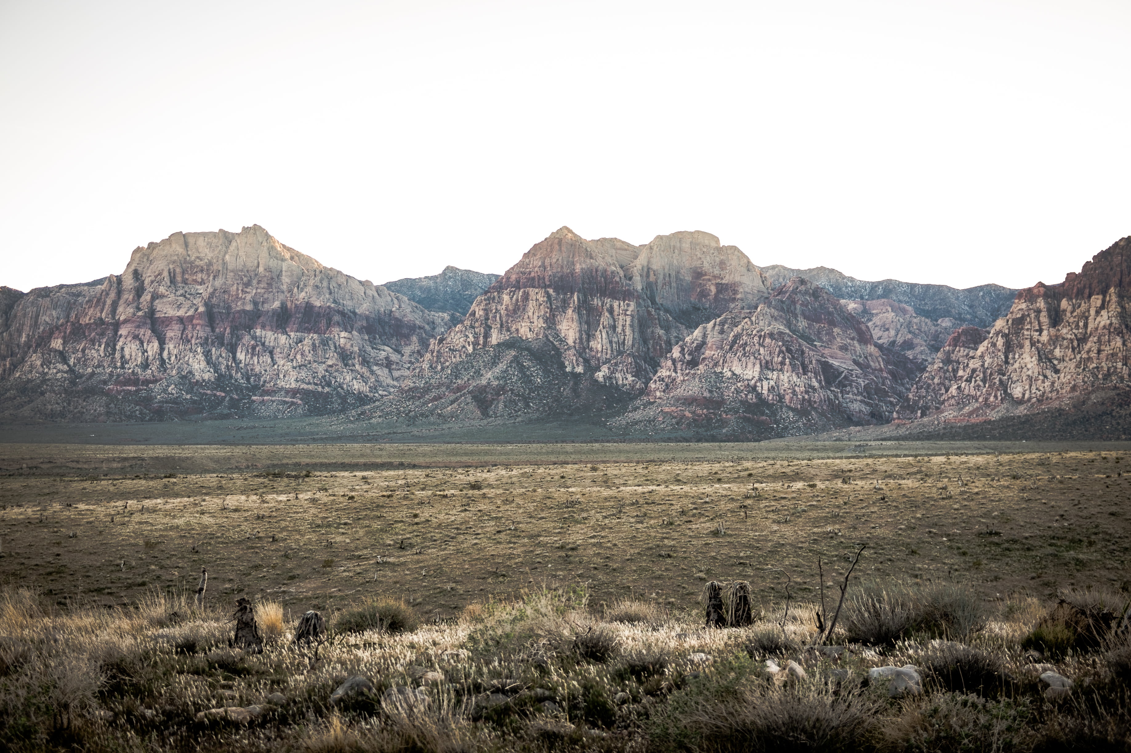 rock - object, rocks, plants, desert, formation, mountain, sky, scenics, mountains, climate, copy space, uSA, non-urban scene, rocky mountains, rock, grass, HD Wallpaper