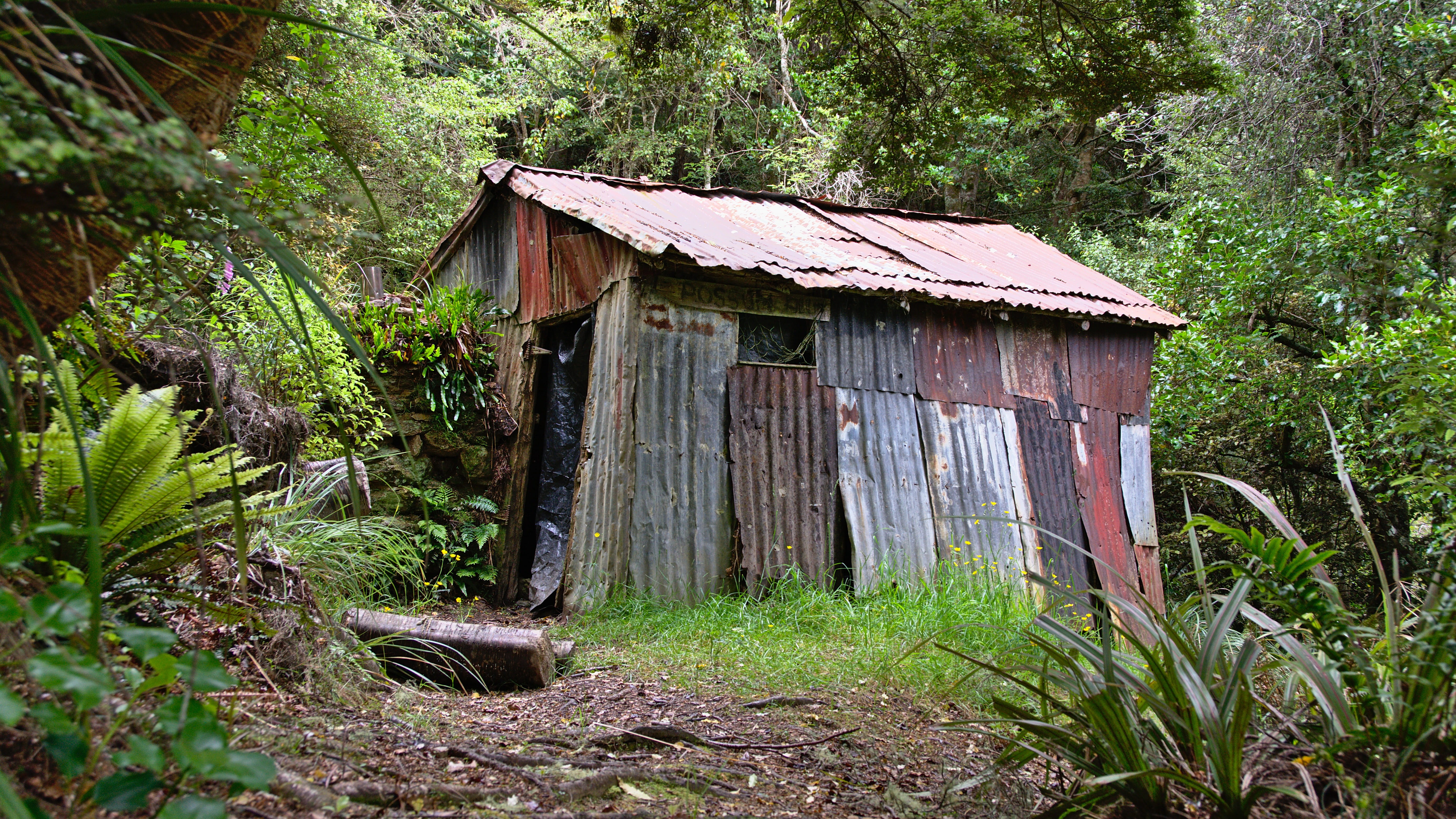 basic, 5K, rustic, crappy, plant, old, woodland, shelter, field, historic, forest, built structure, deteriorating, possum hut, house, green color, decomposing, HD Wallpaper