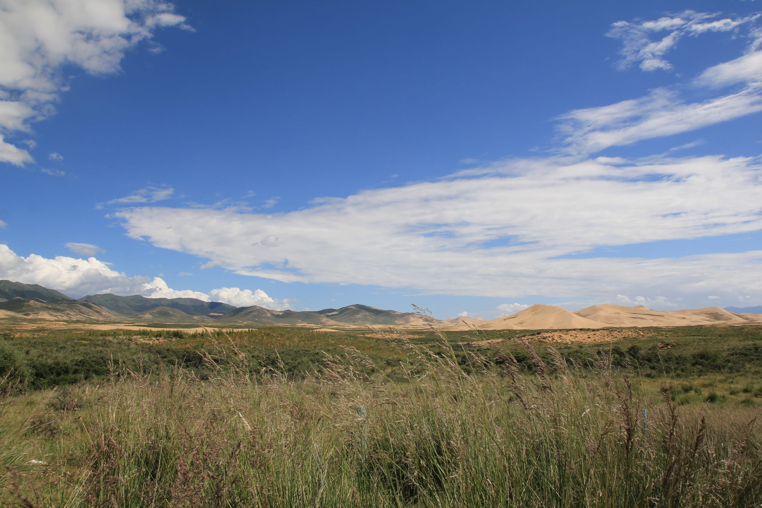 mountain range, arid climate, landscape, nature, grass, 2K, oasis, field, tranquil scene, growth, sky, no people, scenics - nature, environment, mountain, HD Wallpaper