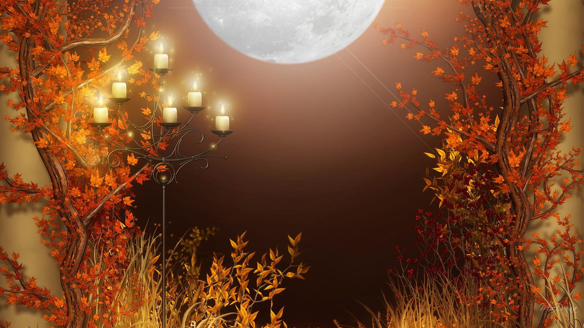 orange, 3d and, leaves, firefox persona, candles, 1080P, full moon, light, grass, fall, autumn, beam, color, HD Wallpaper