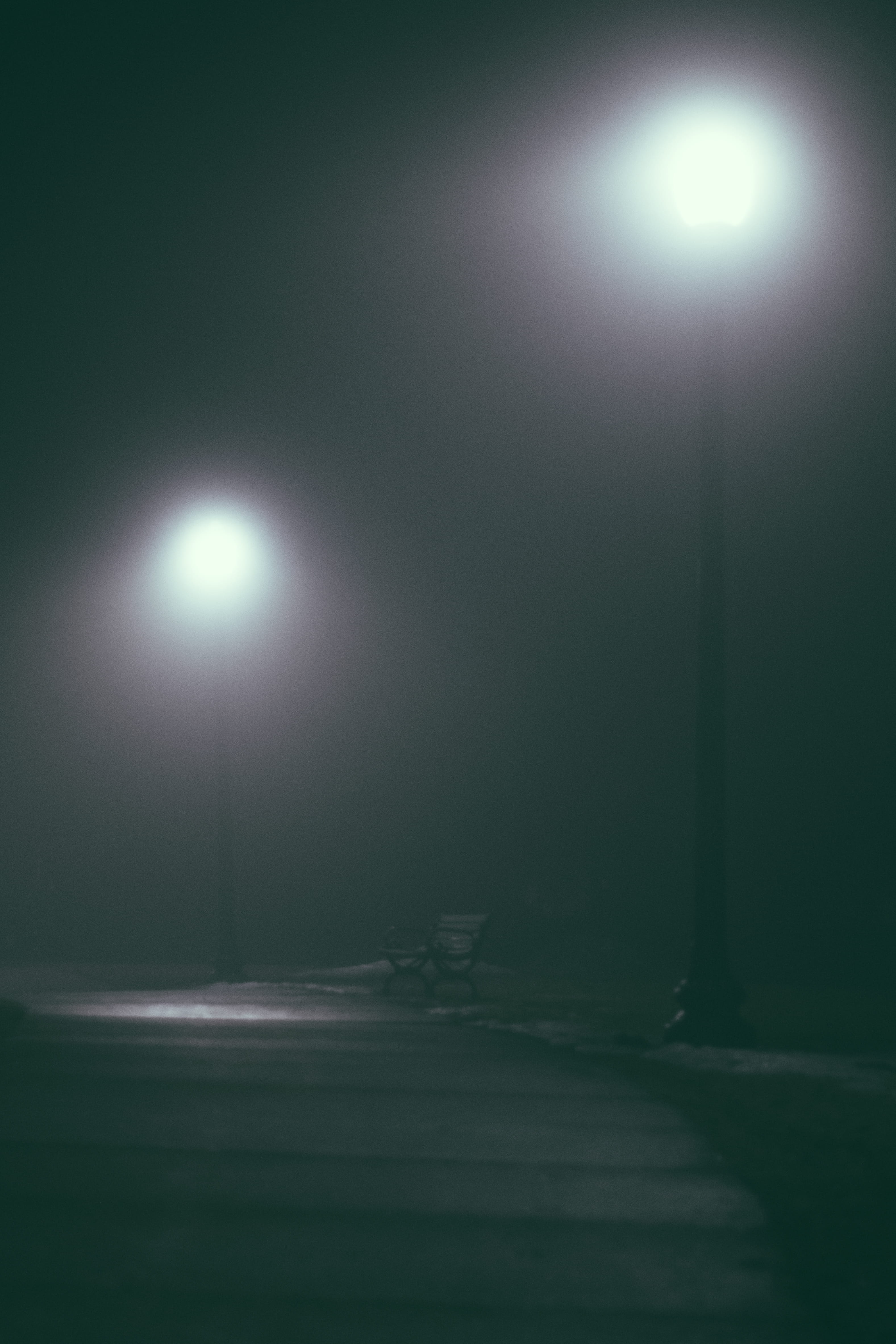 moonlight, illuminated, transportation, stage, electric lamp, bench, street, nature, park, street light, absence, light beam, empty, moon, road, burlington, Phone HD Wallpaper