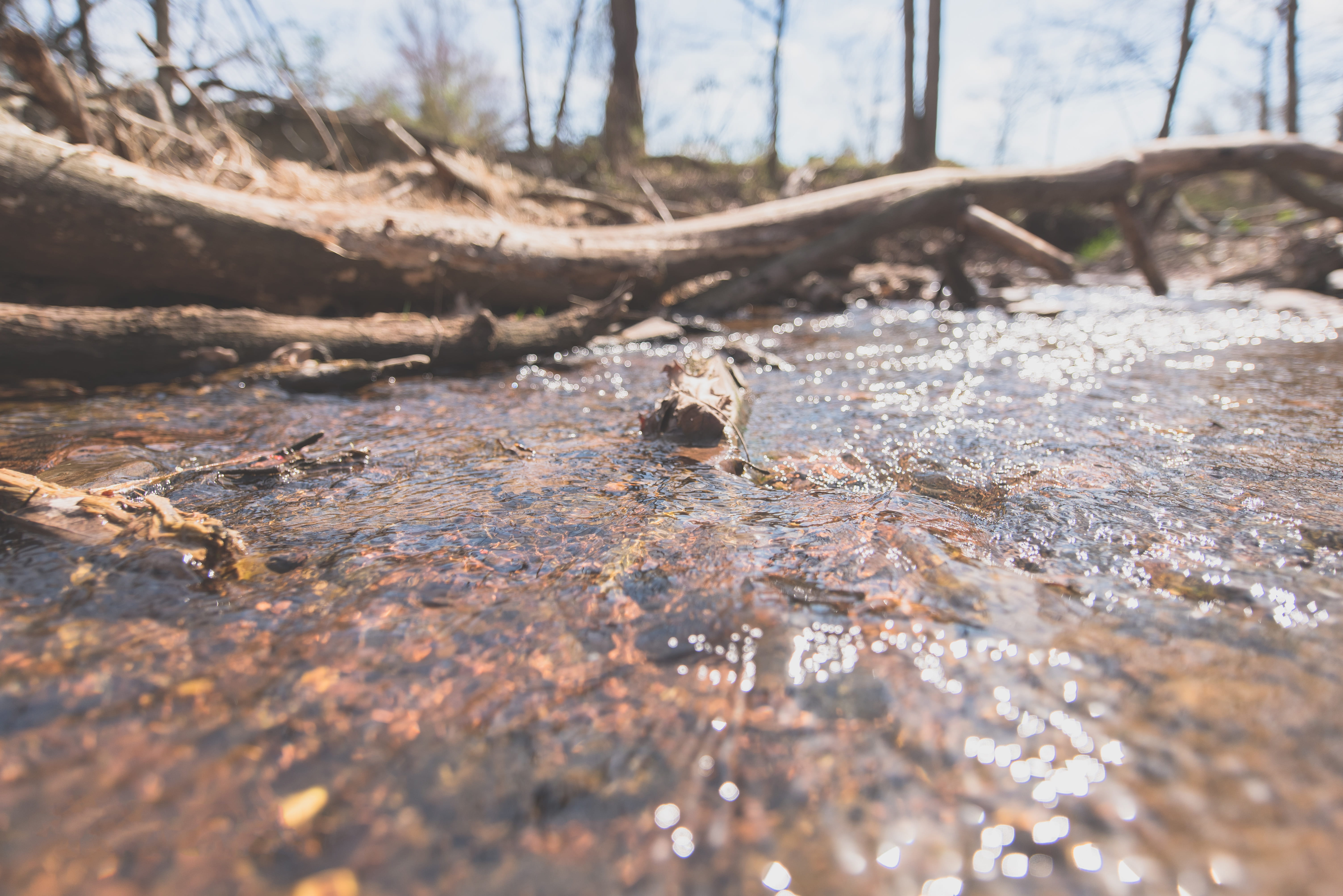 textured, bear mountain state park, wood, plant, wood - material, fall, 5K, outdoors, united states, dirt, sun, river, flow, land, pebbles, bright, field, HD Wallpaper