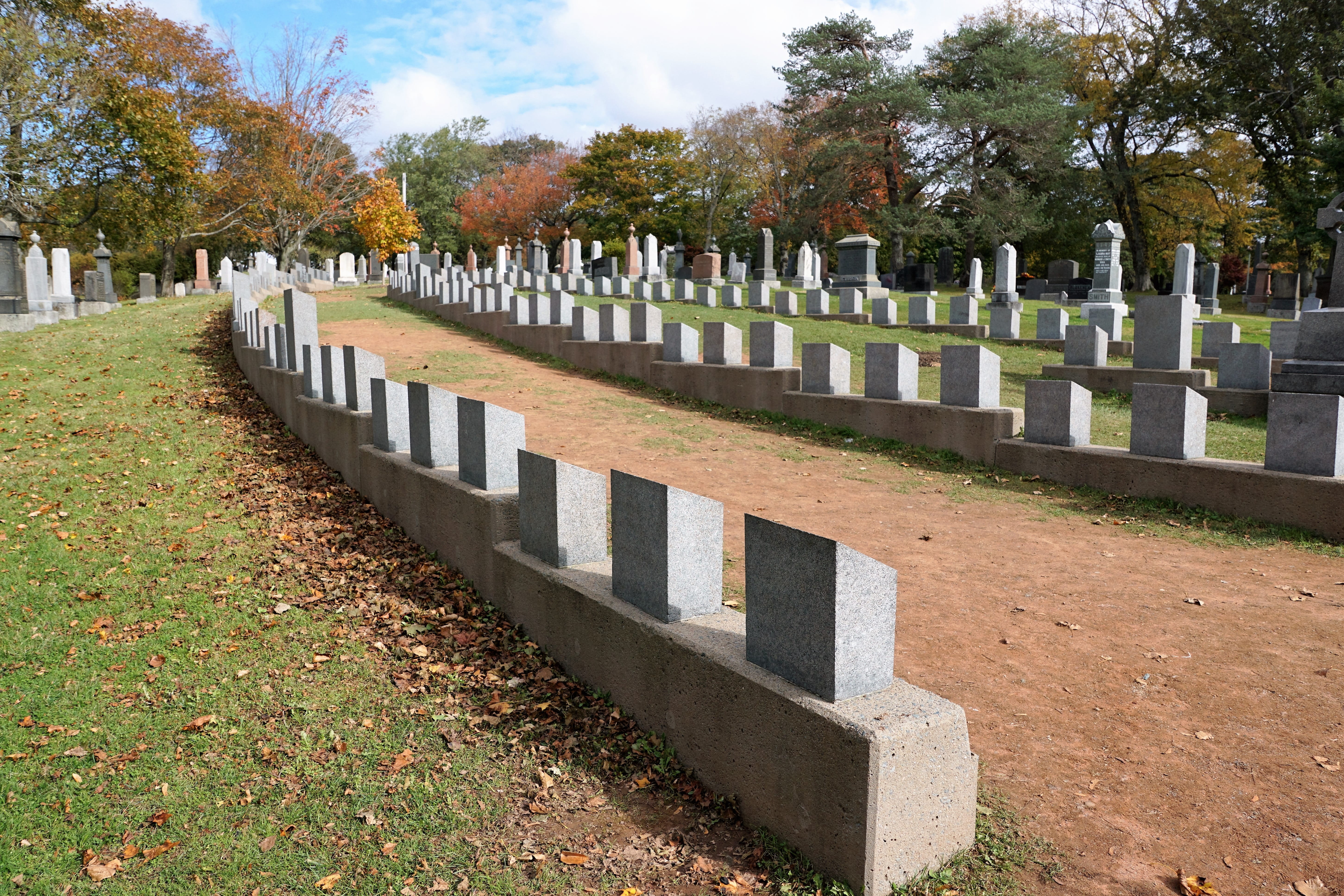 government, canada, 5K, Halifax, ship, transatlantic, plant, atlantic, the past, america, titanik, in a row, victims, tombstone, ocean, boot, sea, nature, HD Wallpaper