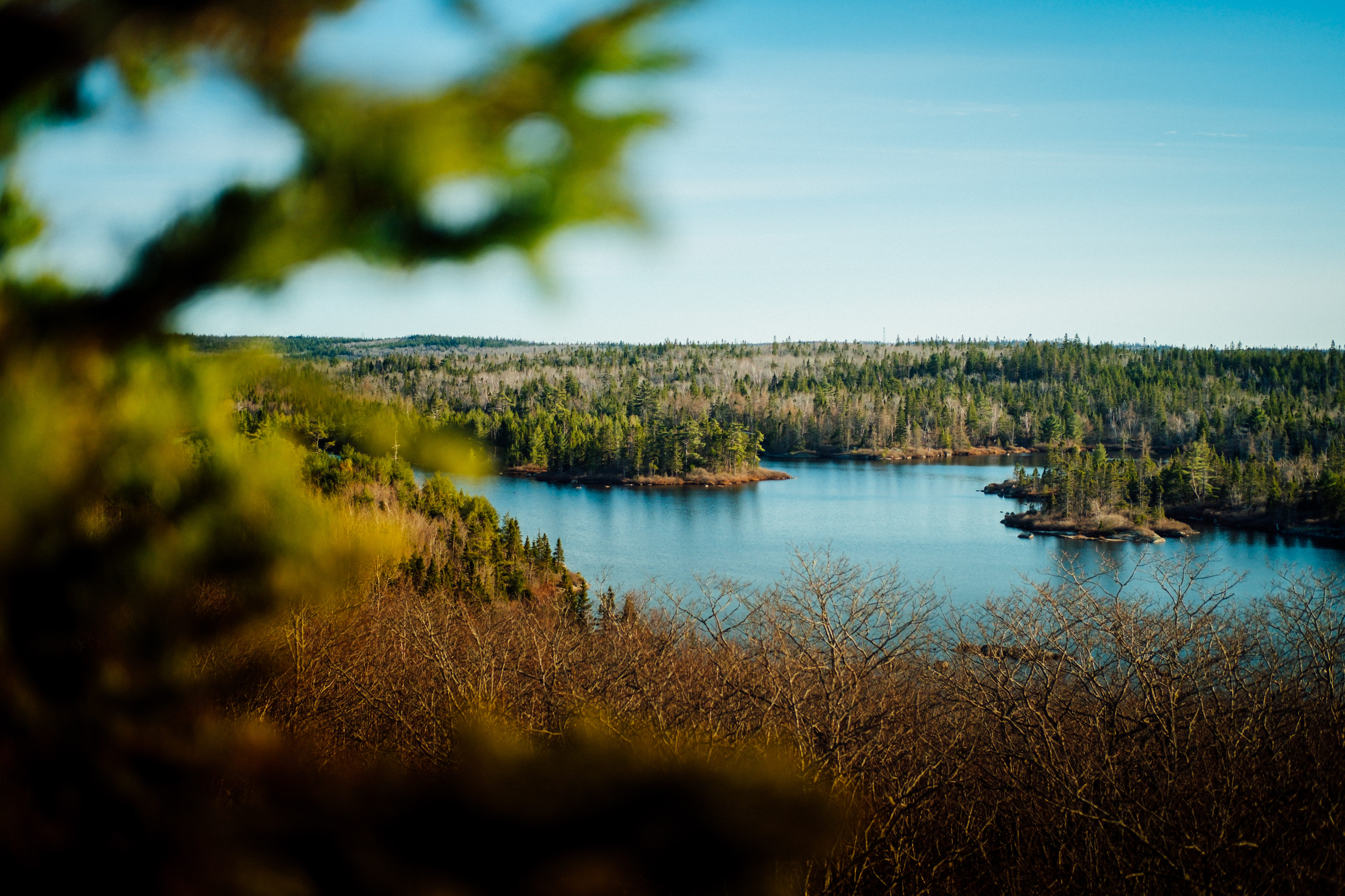 water, fir, wild, environment, blue, body, lake, growth, woods, canada, 5K, land, idyllic, nature, day, tree, scenics - nature, plant, wilderness, HD Wallpaper