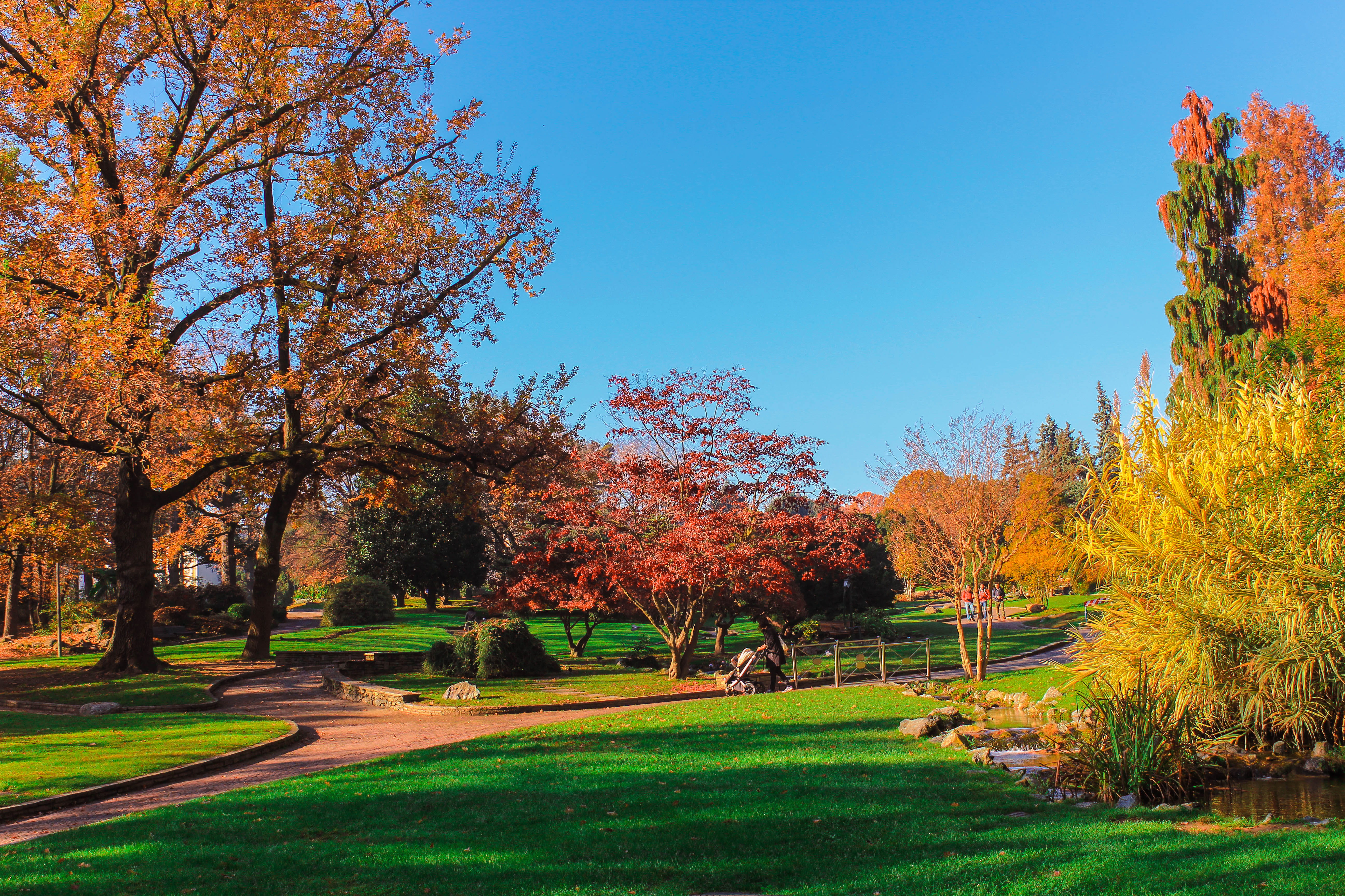 green color, outdoors, tranquil scene, beauty in nature, park, change, sunlight, sky, tree, park - man made space, day, colours, italy, orange color, parcodelvalentino, HD Wallpaper