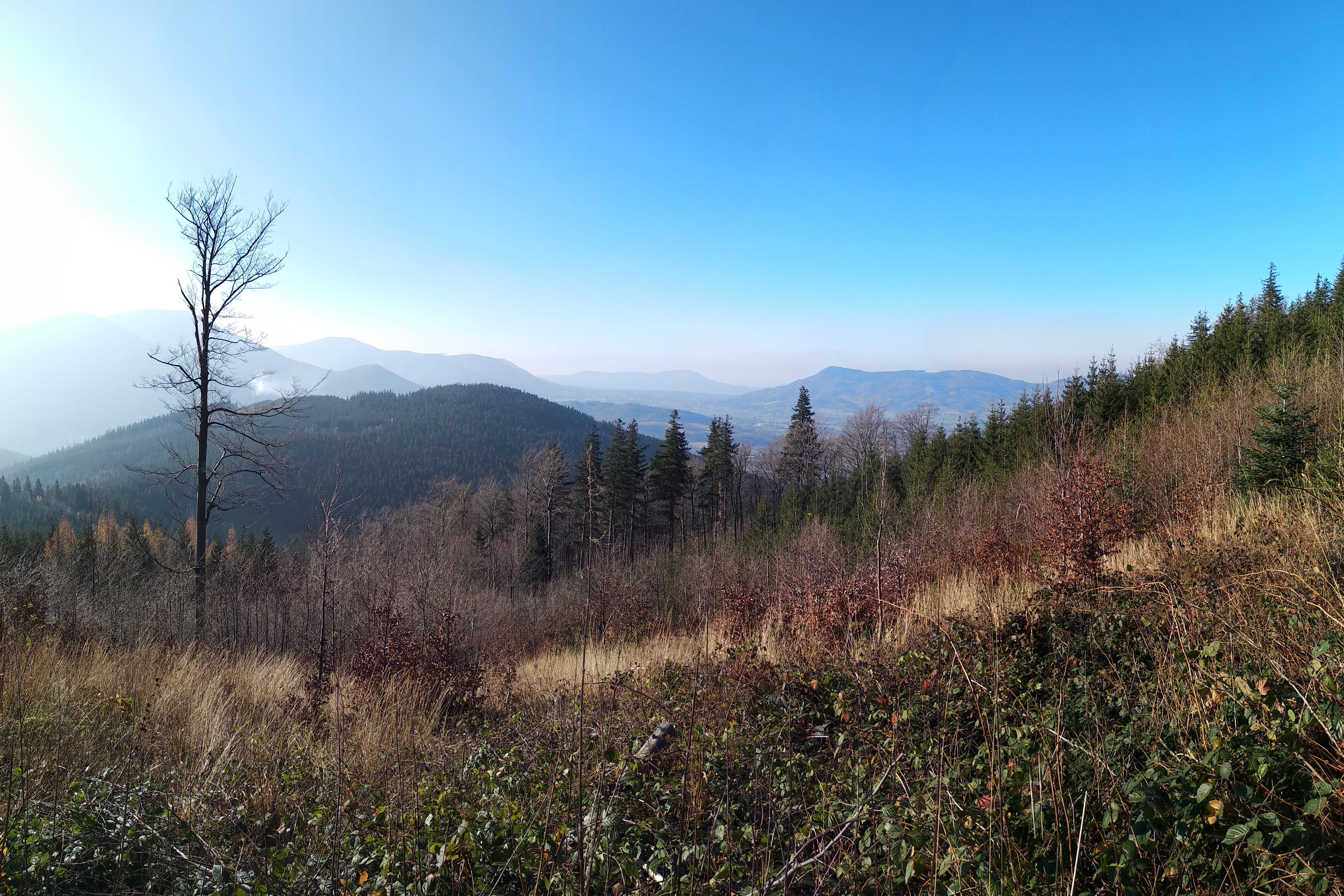 mountain range, 5K, tree, sky, beskydy, plant, tranquil scene, non-urban scene, remote, view, no people, mountain, clear sky, scenics - nature, outdoors, HD Wallpaper