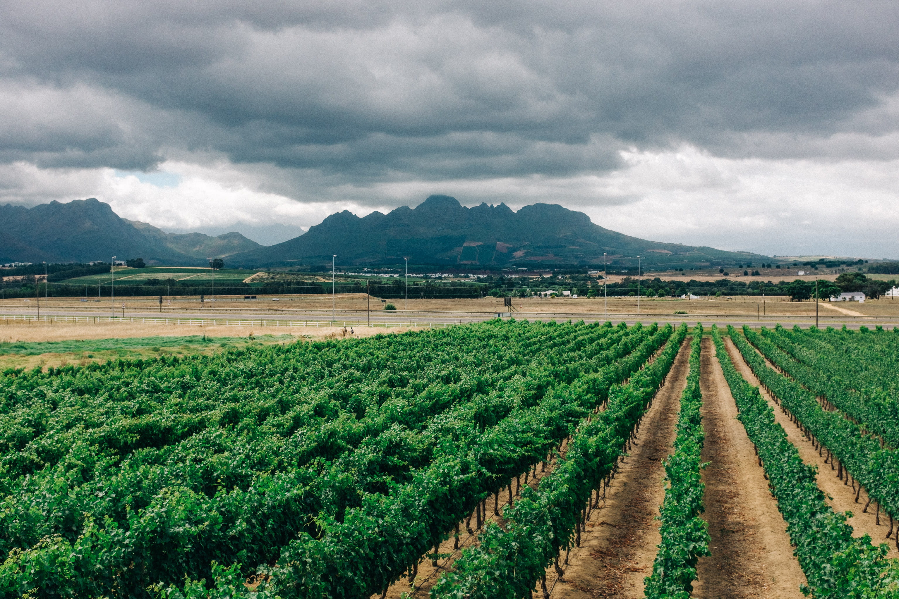 sky, 2K, farm, nature, plantation, environment, mountain range, growth, land, crop, tranquility, wine, plant, mountain, clouds, no people, rural scene, HD Wallpaper
