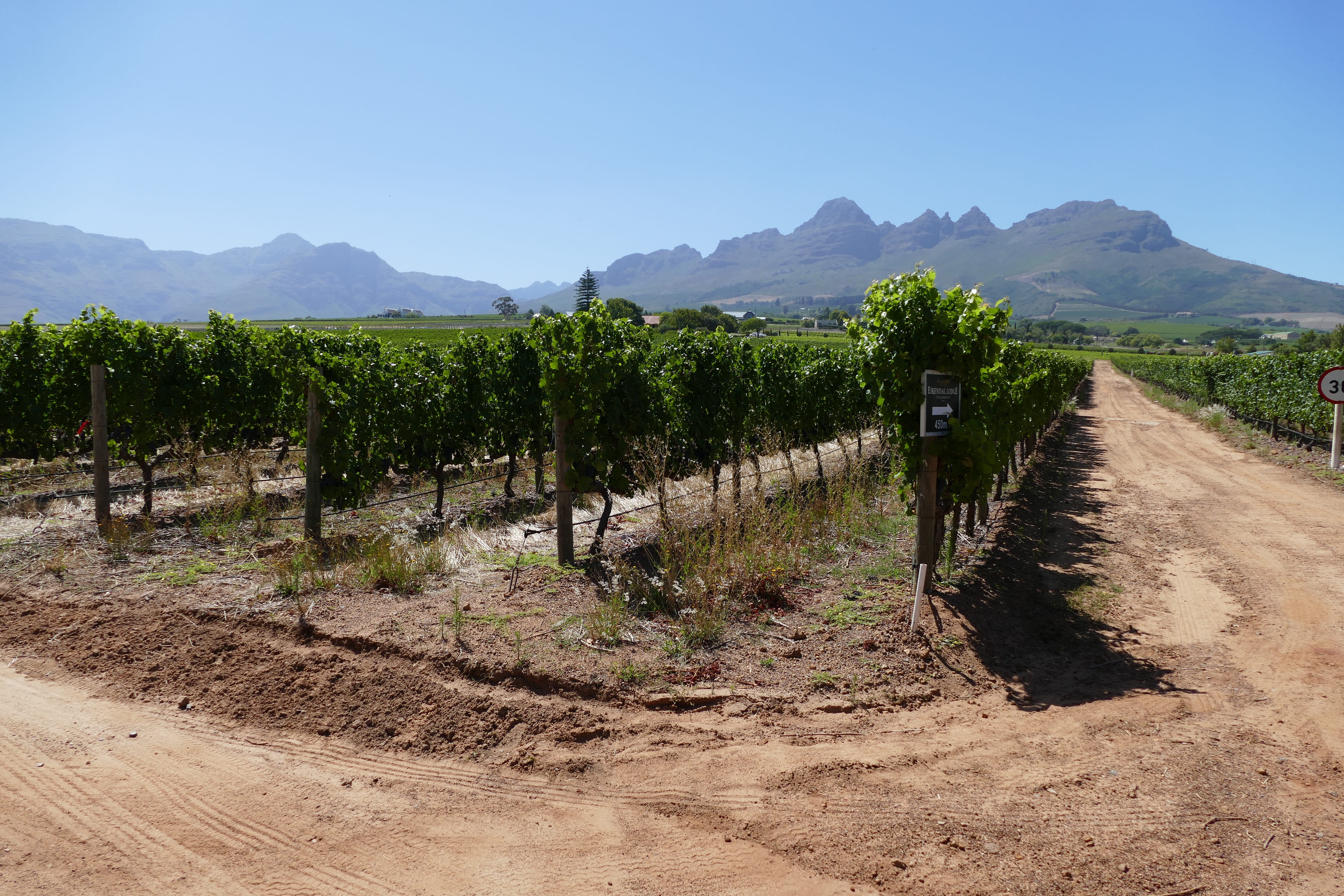 no people, growth, dirt, Landscape, day, beauty in nature, Stellenbosch, non-urban scene, land, nature, field, tree, sky, scenics - nature, south africa, HD Wallpaper