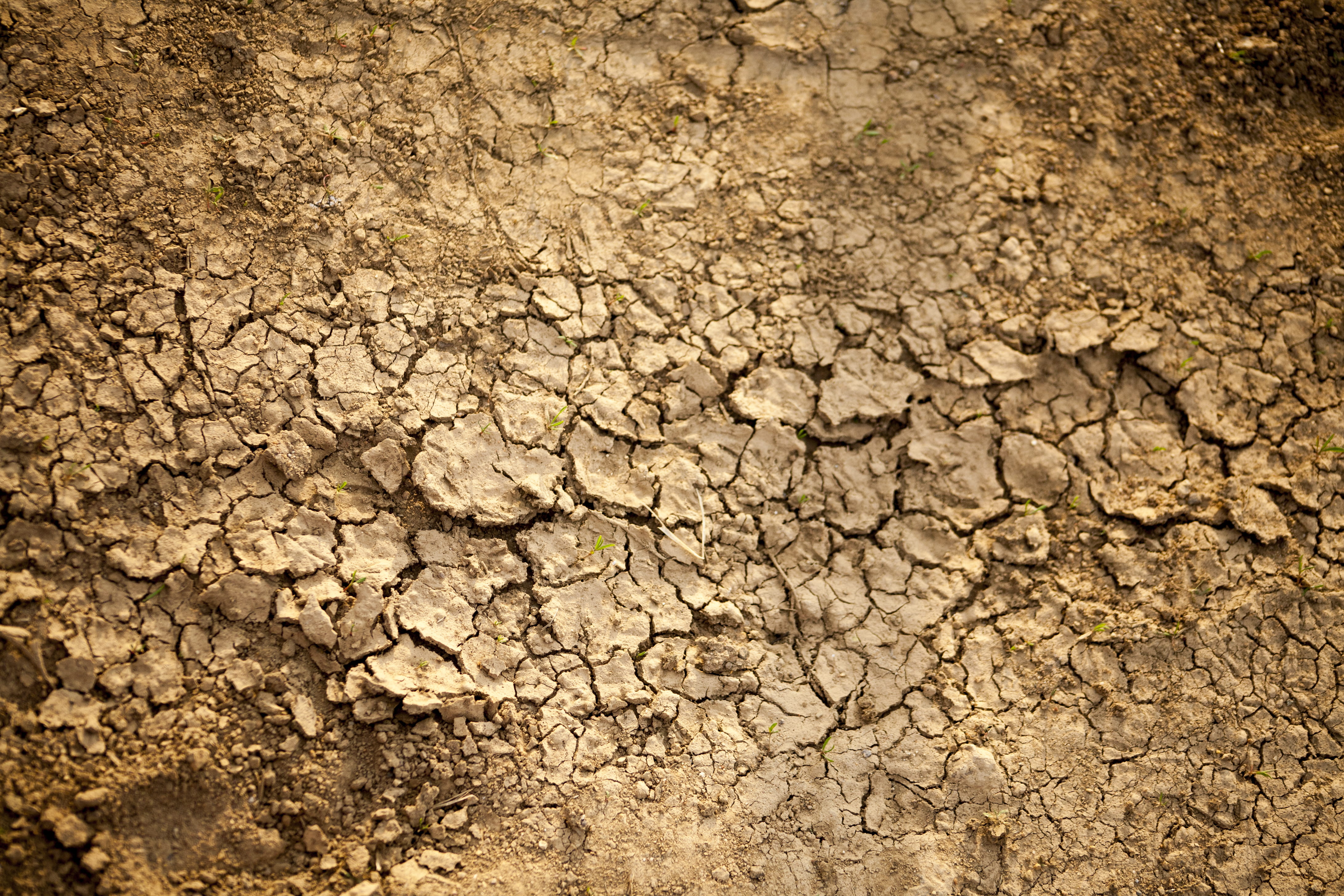 abstract, dust, arid climate, outdoors, environmental issues, dirty, stellenbosch, land, drought, environment, dry, cracked, textured, life, scenics - nature, HD Wallpaper