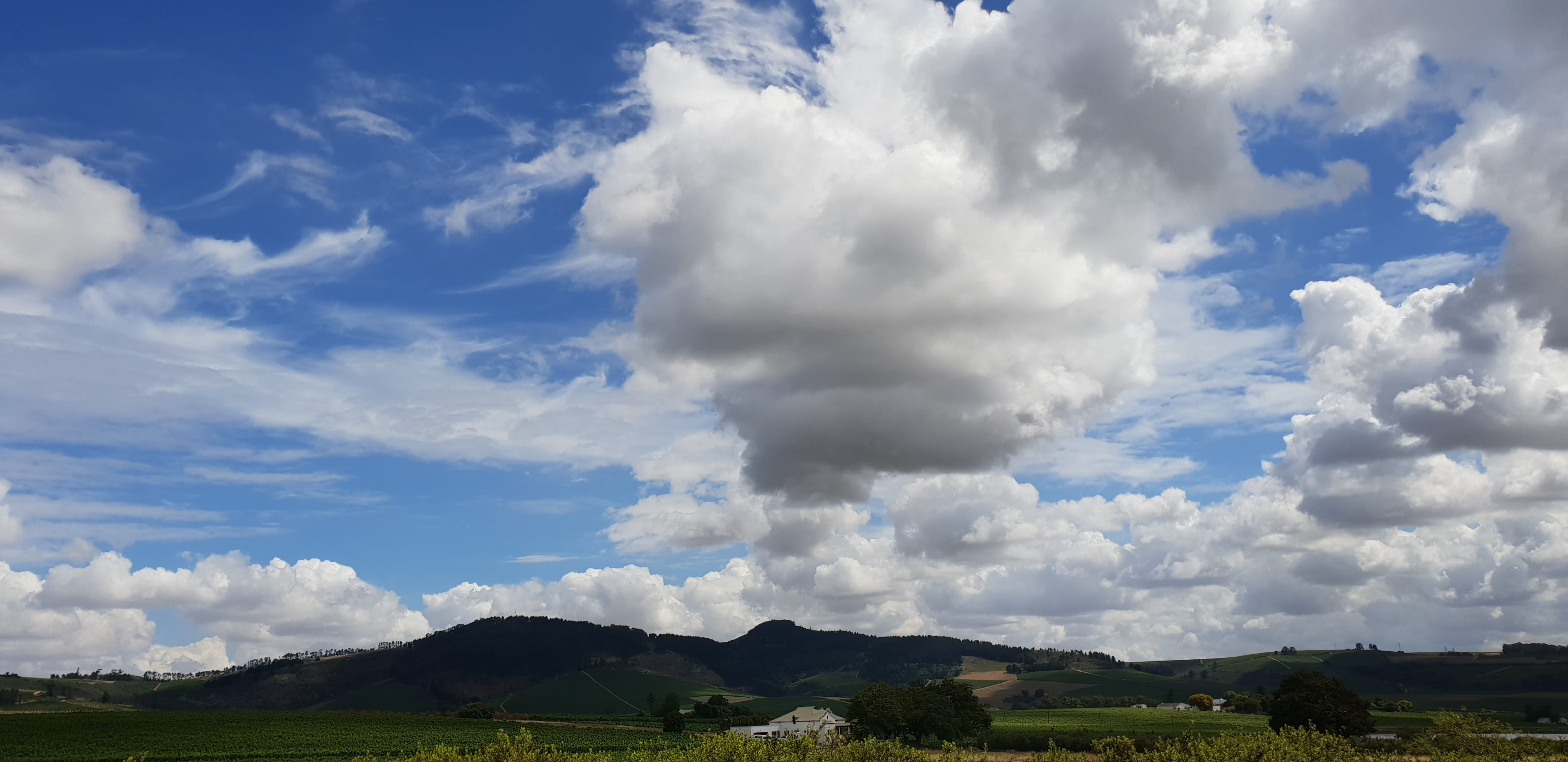 environment, tranquility, stellenbosch, cloud - sky, tree, non-urban scene, no people, idyllic, 4K, outdoors, plant, nature, polkadraai rd, land, clouds, HD Wallpaper