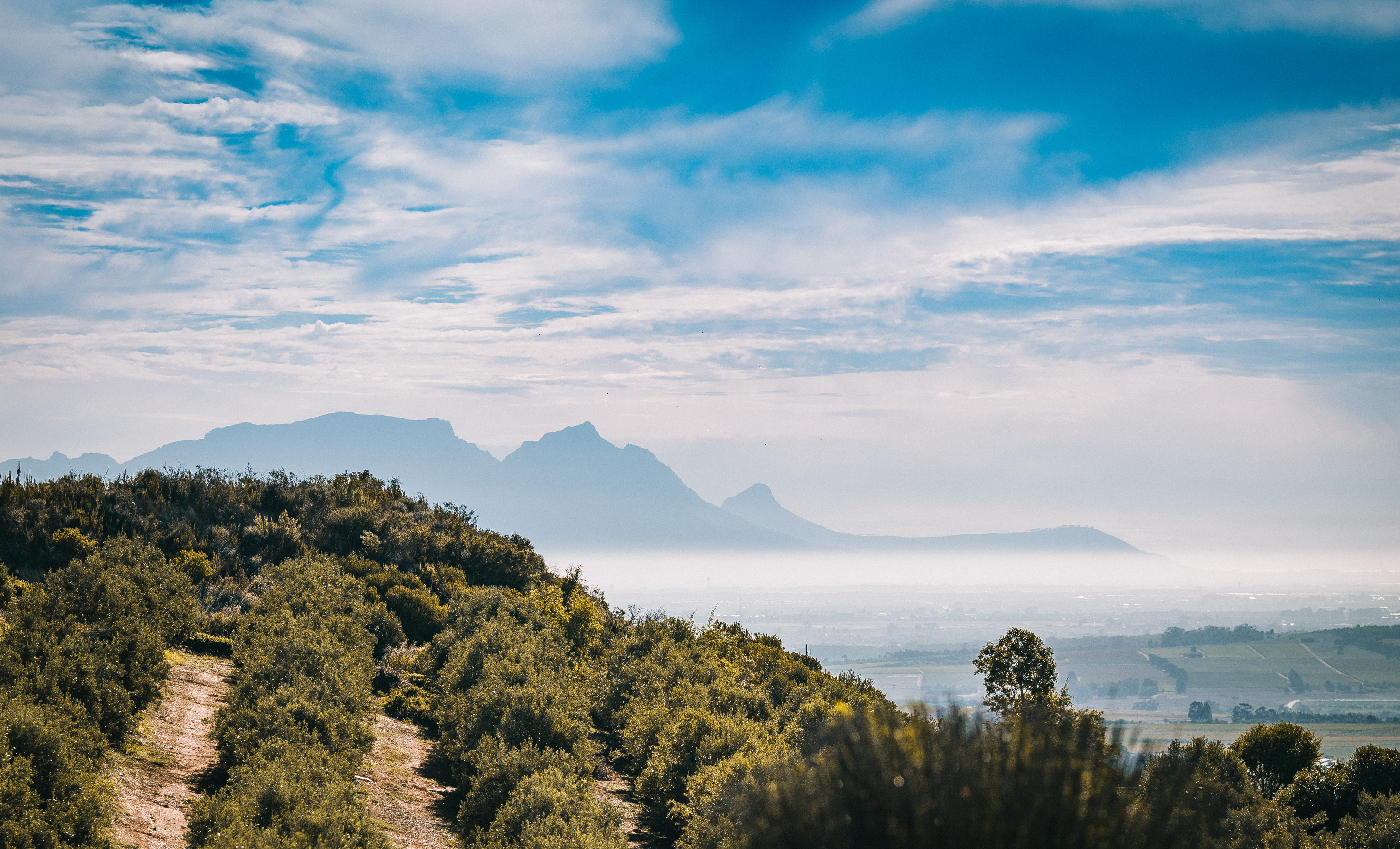 tranquility, scenics - nature, outdoors, nature, mountain, sky, cloud, growth, water, fir, hidden valley wine estate, stellenbosch, abies, tranquil scene, HD Wallpaper