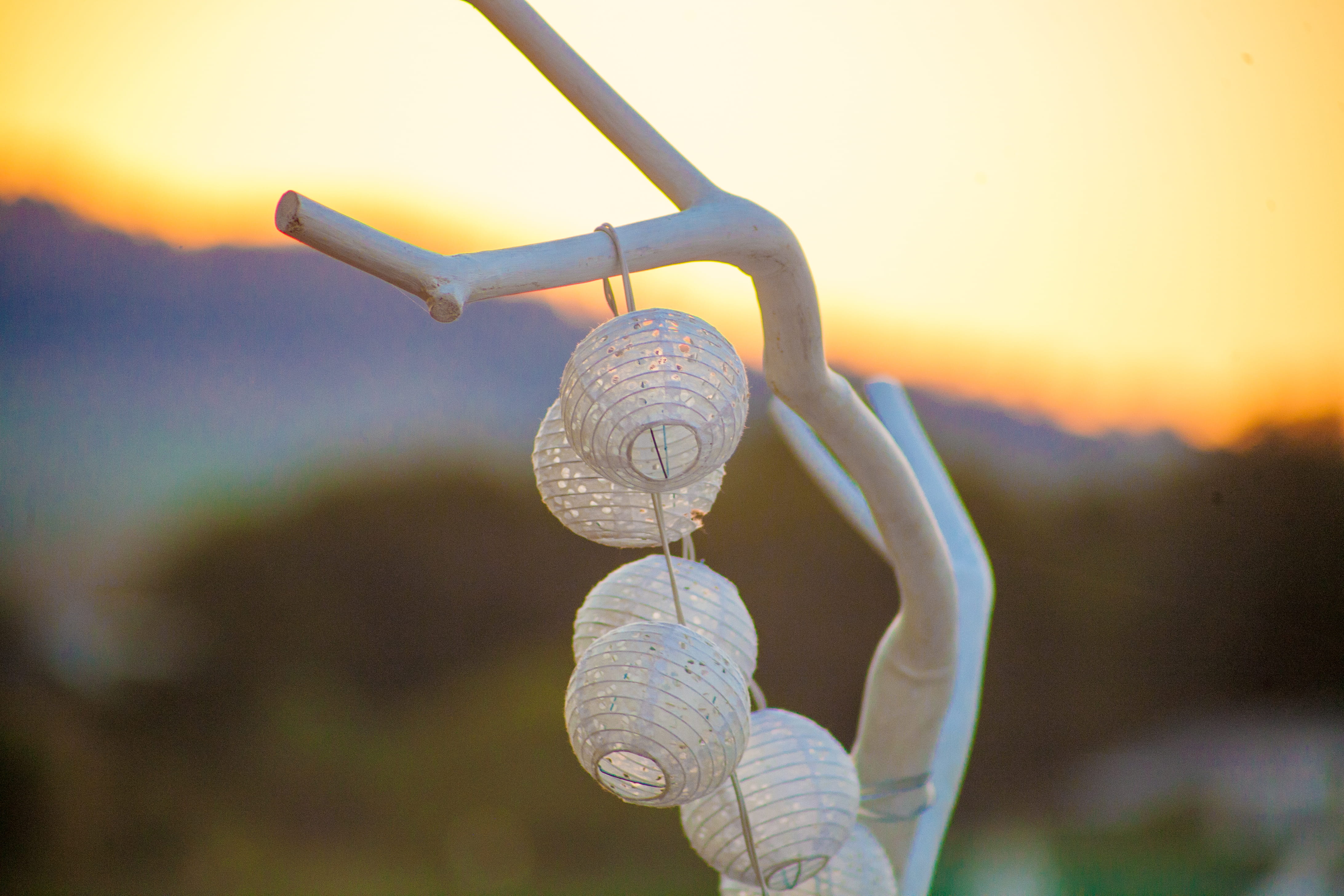 lighting equipment, spiral, beauty in nature, architecture, lanterns, outdoors, no people, sunset, selective focus, stellenbosch, tree, south africa, design, HD Wallpaper