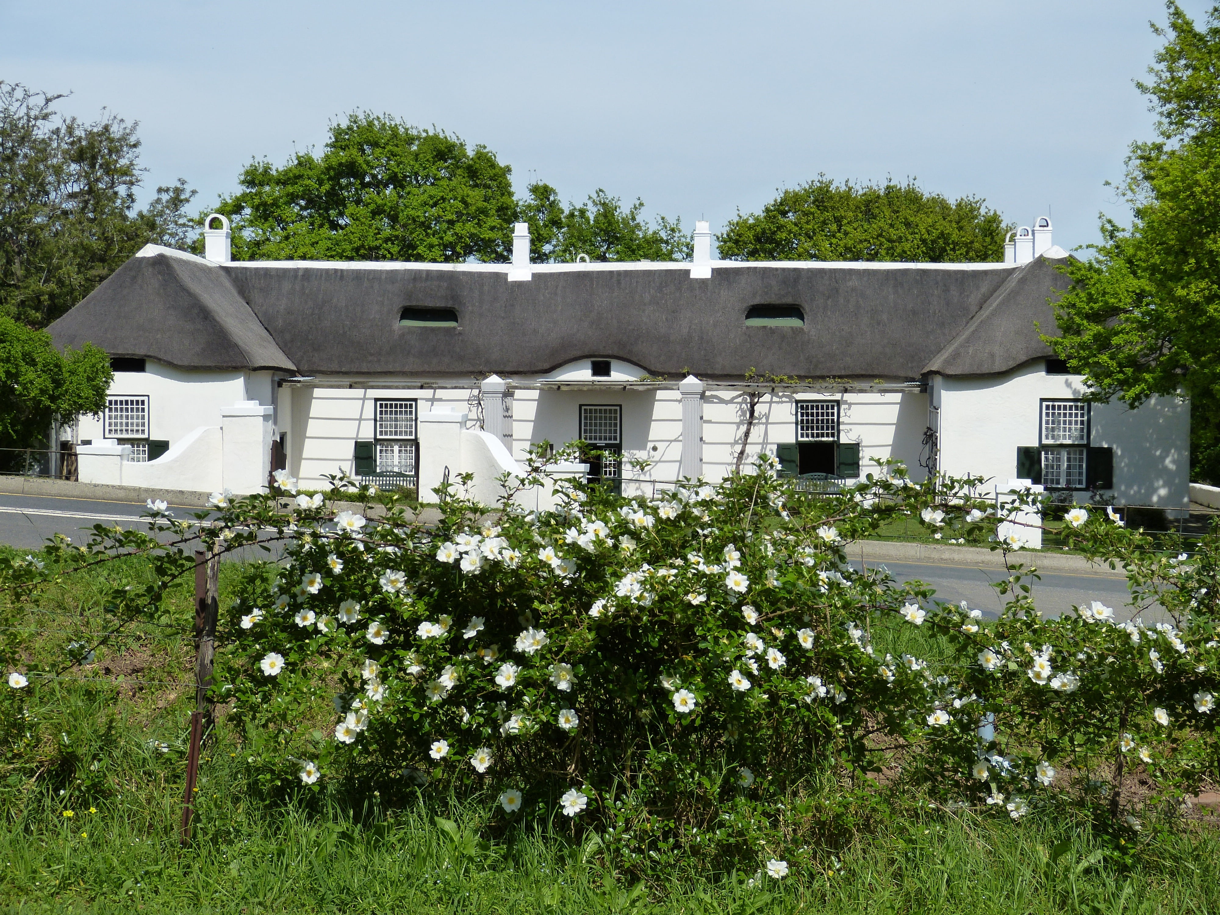 green color, built structure, growth, house, beauty in nature, nature, sky, stellenbosch, flower, thatched roof, wild rose, residential district, historically, HD Wallpaper