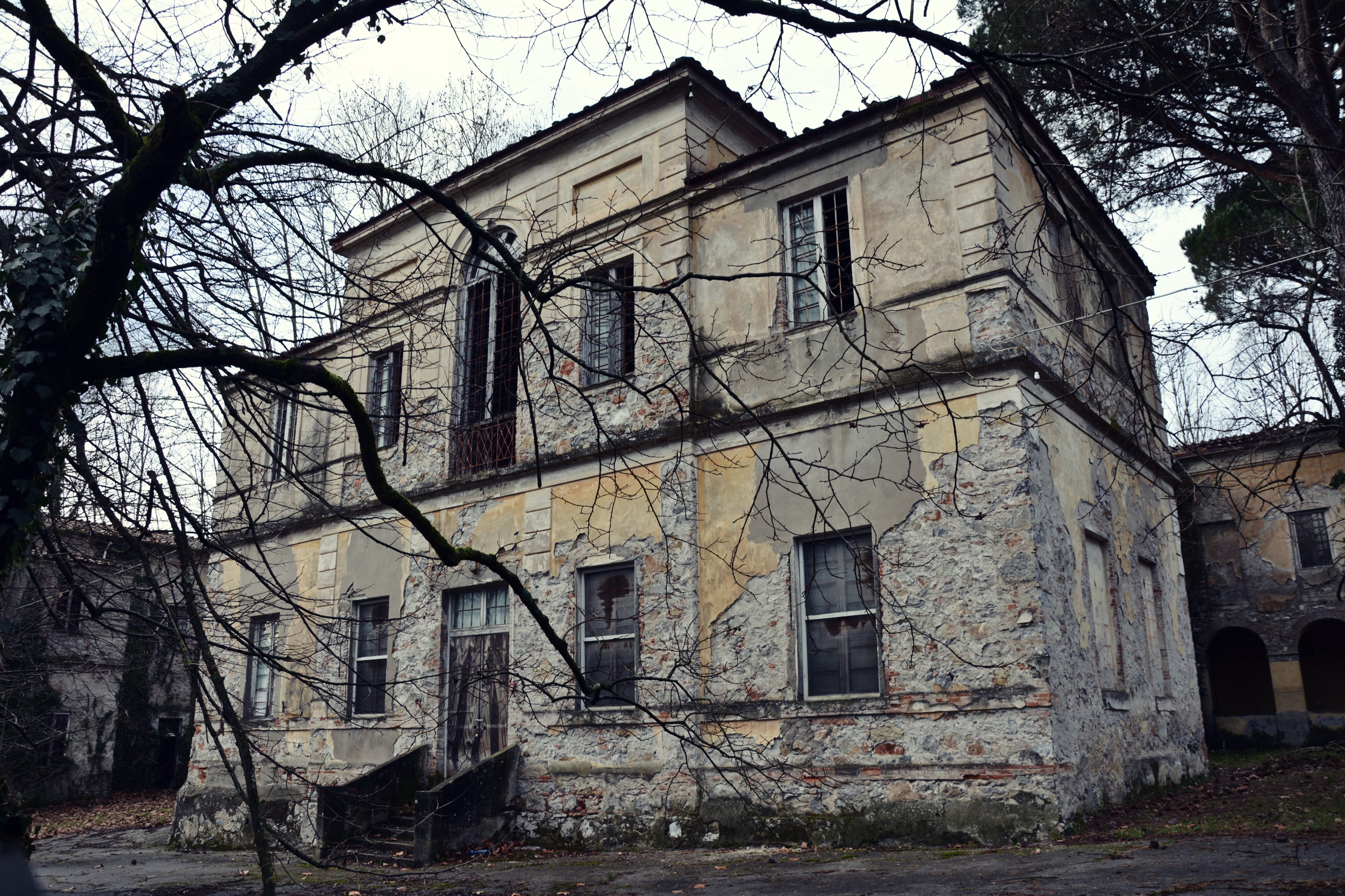 old, decline, deterioration, tree, window, no people, abandoned, built structure, 4K, tuscany, house, plant, outdoors, building, building exterior, run-down, HD Wallpaper