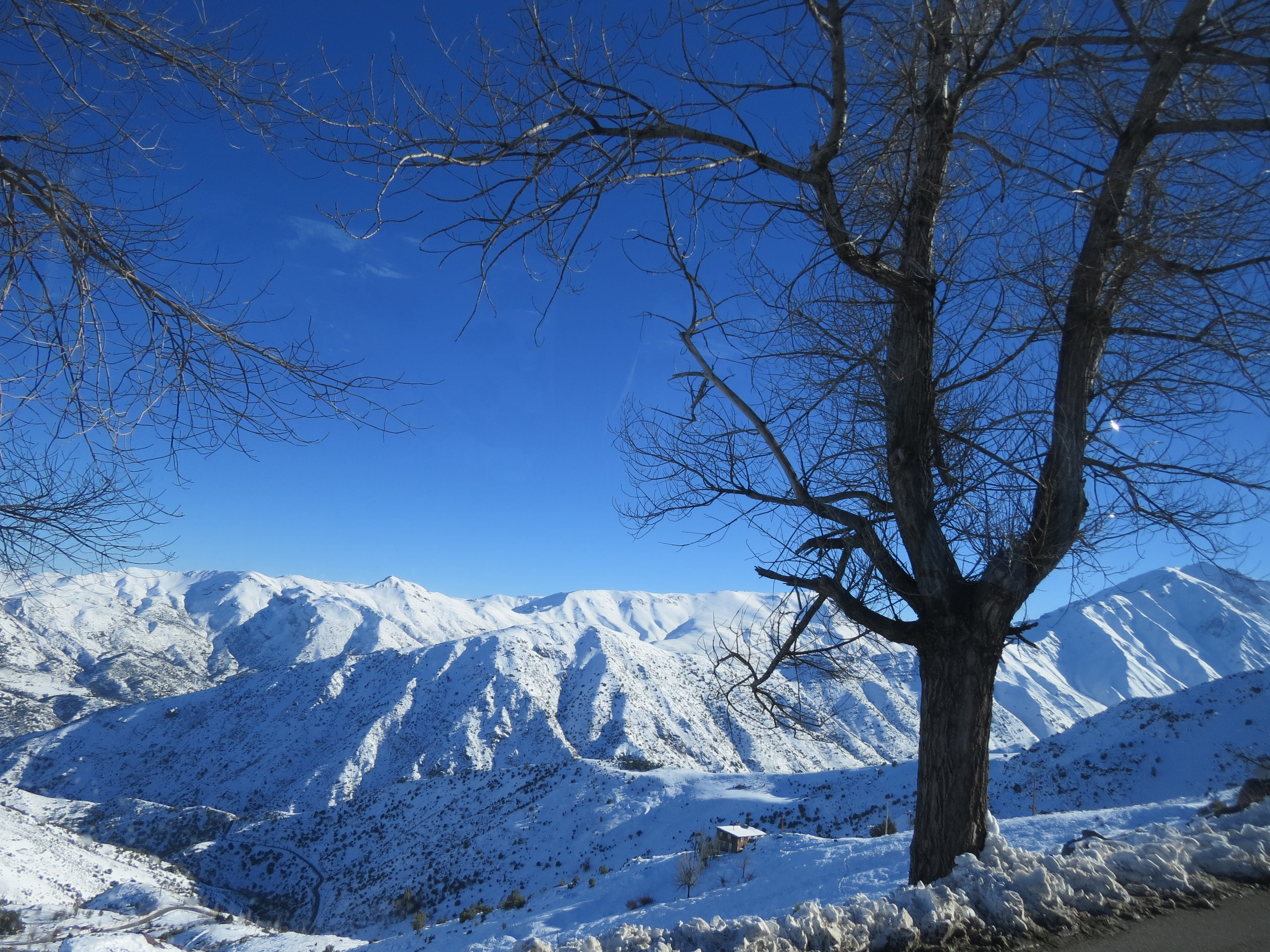 winter, sol, tranquil scene, patagonia, non-urban scene, santiago, cold temperature, tourim, chile, beauty, valle nevado, blue sky, tree, blue, sky, alpine, HD Wallpaper
