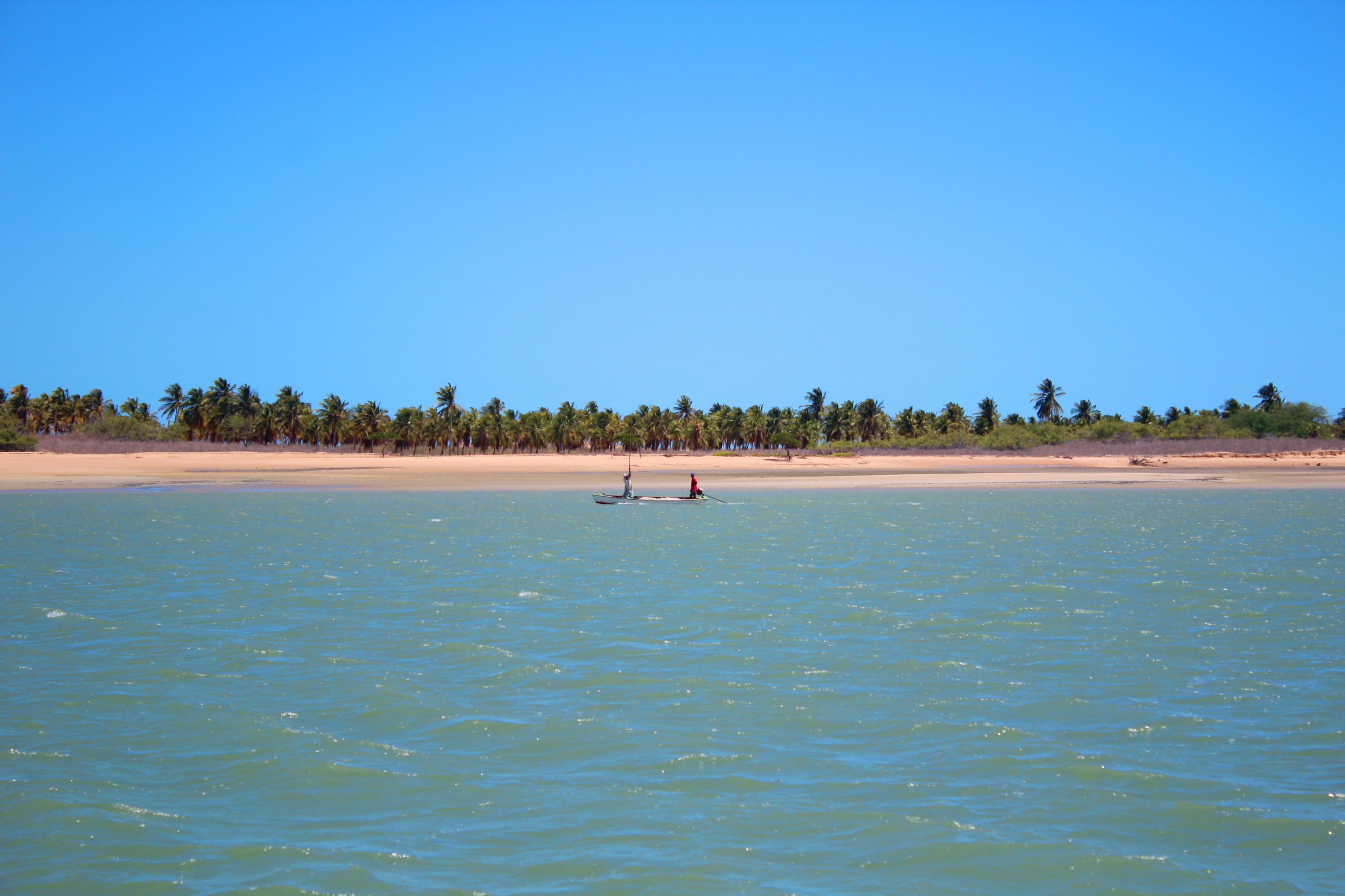 nature, tree, land, day, beach, real people, blue, ceu, non-urban scene, copy space, clear sky, coconut trees, sky, beauty in nature, turquoise colored, HD Wallpaper