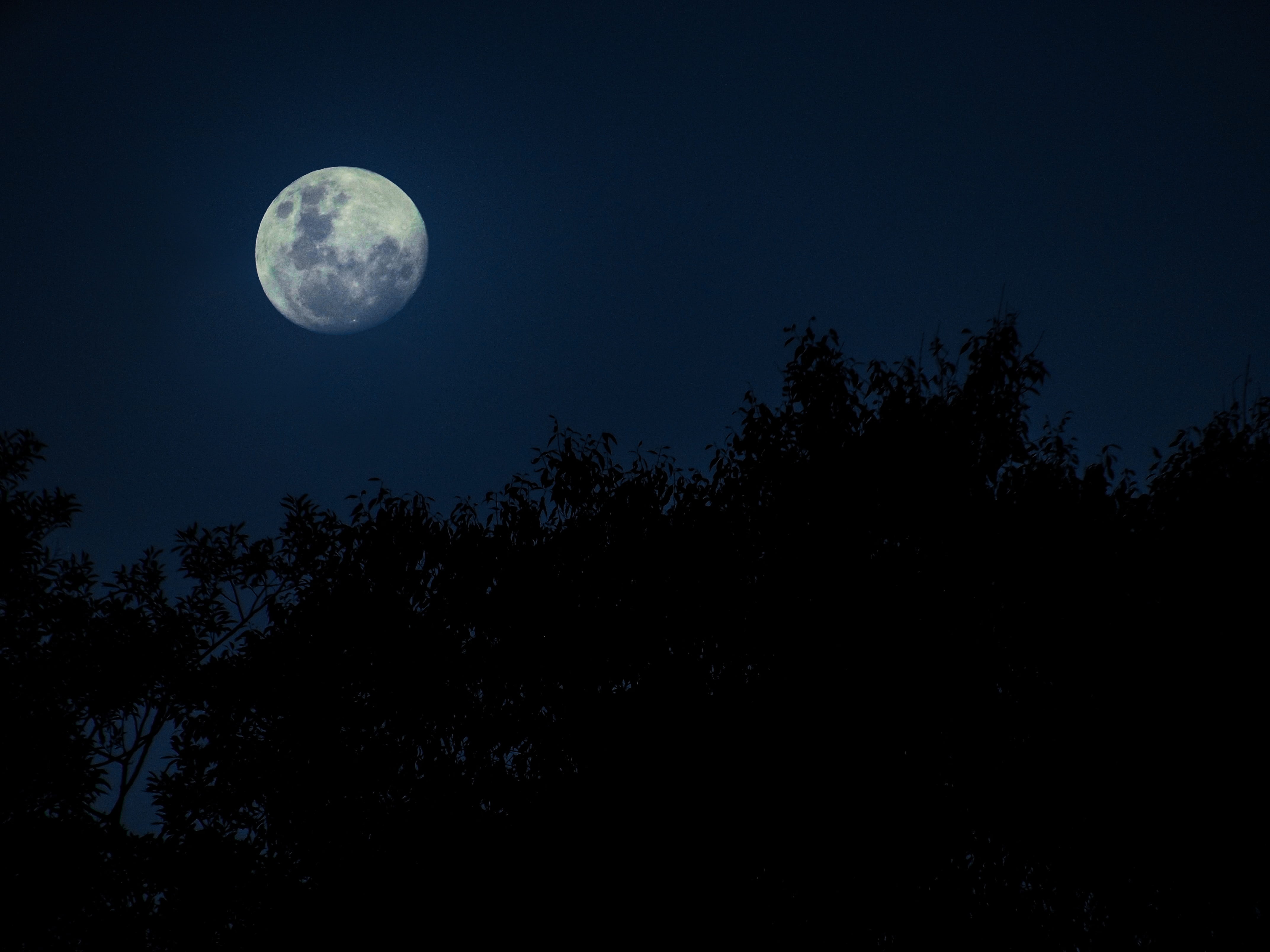 landscape, beauty in nature, ceu, nature, tree, planetary moon, 4K, blue sky, outdoors, star - space, shape, mystery, trees, no people, astro, space, silhouette, HD Wallpaper