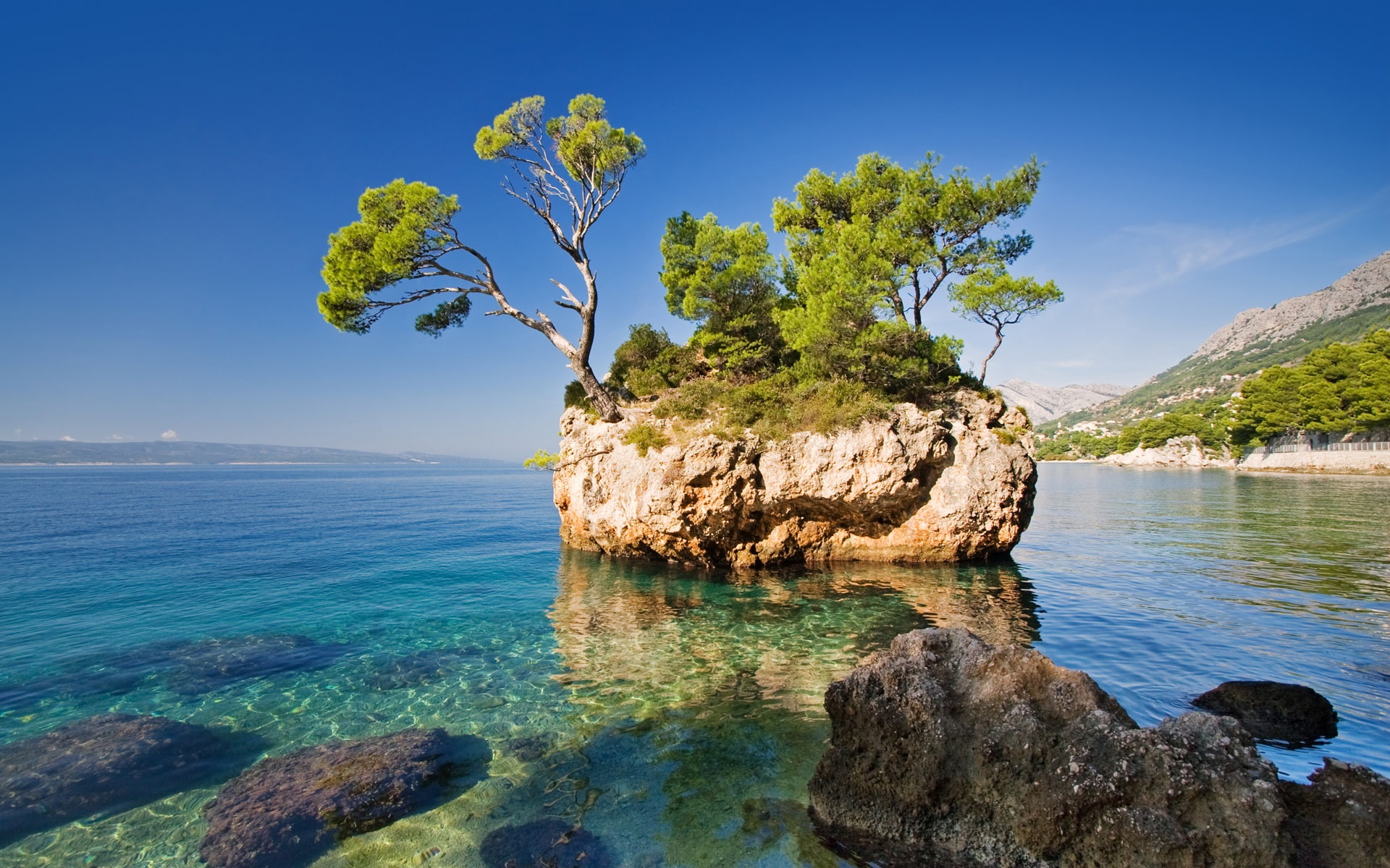 Island, Sea, Rock, 1080P, Trees, Nature, Lonely, HD Wallpaper