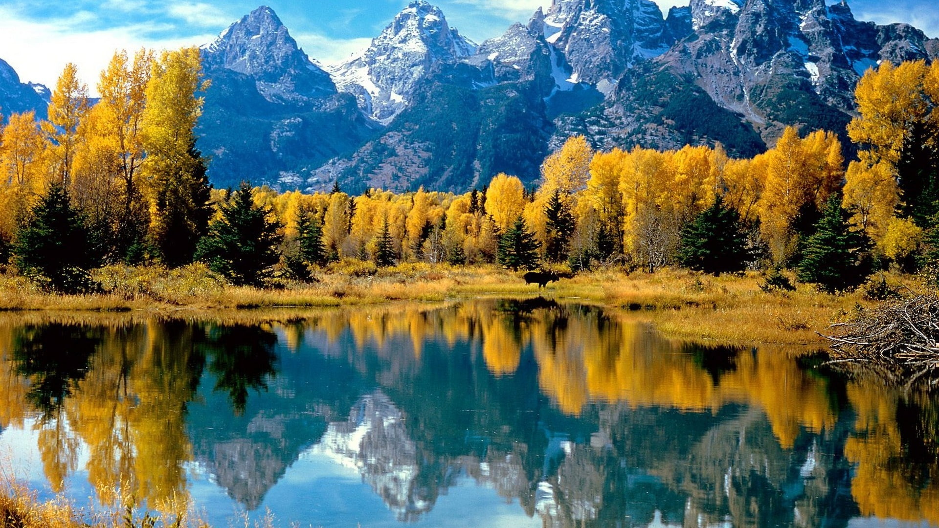 lakes, wallpap, art, 1080P, park, nature, national, x, autumn, reflections, grand, teton, hd, wyoming, forest, HD Wallpaper