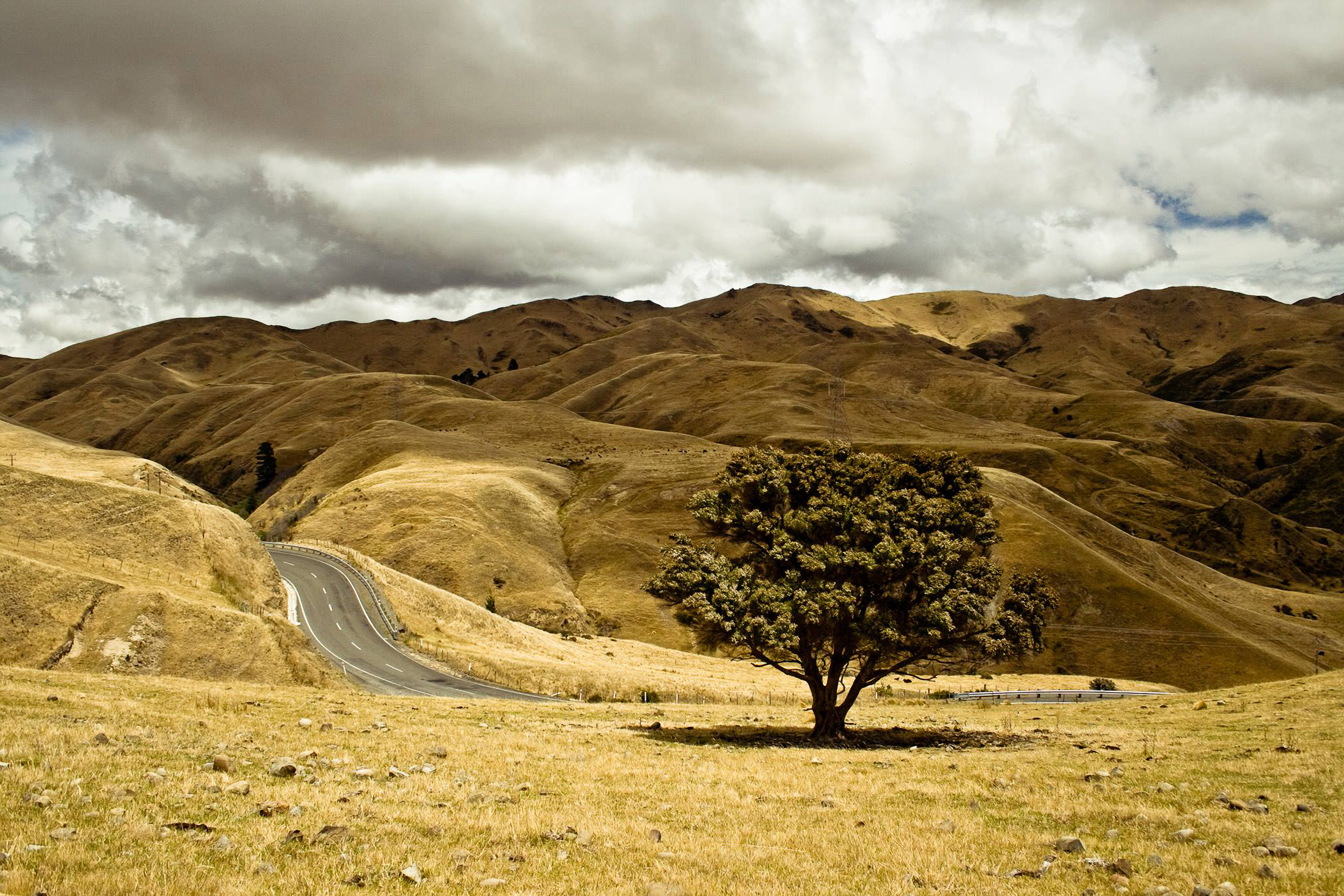 cloudy, south island, landscape, mountain, non-urban scene, land, semi-arid, leaf, environment, asphalt, rock, cloud - sky, road, plant, oak tree, lone tree, HD Wallpaper