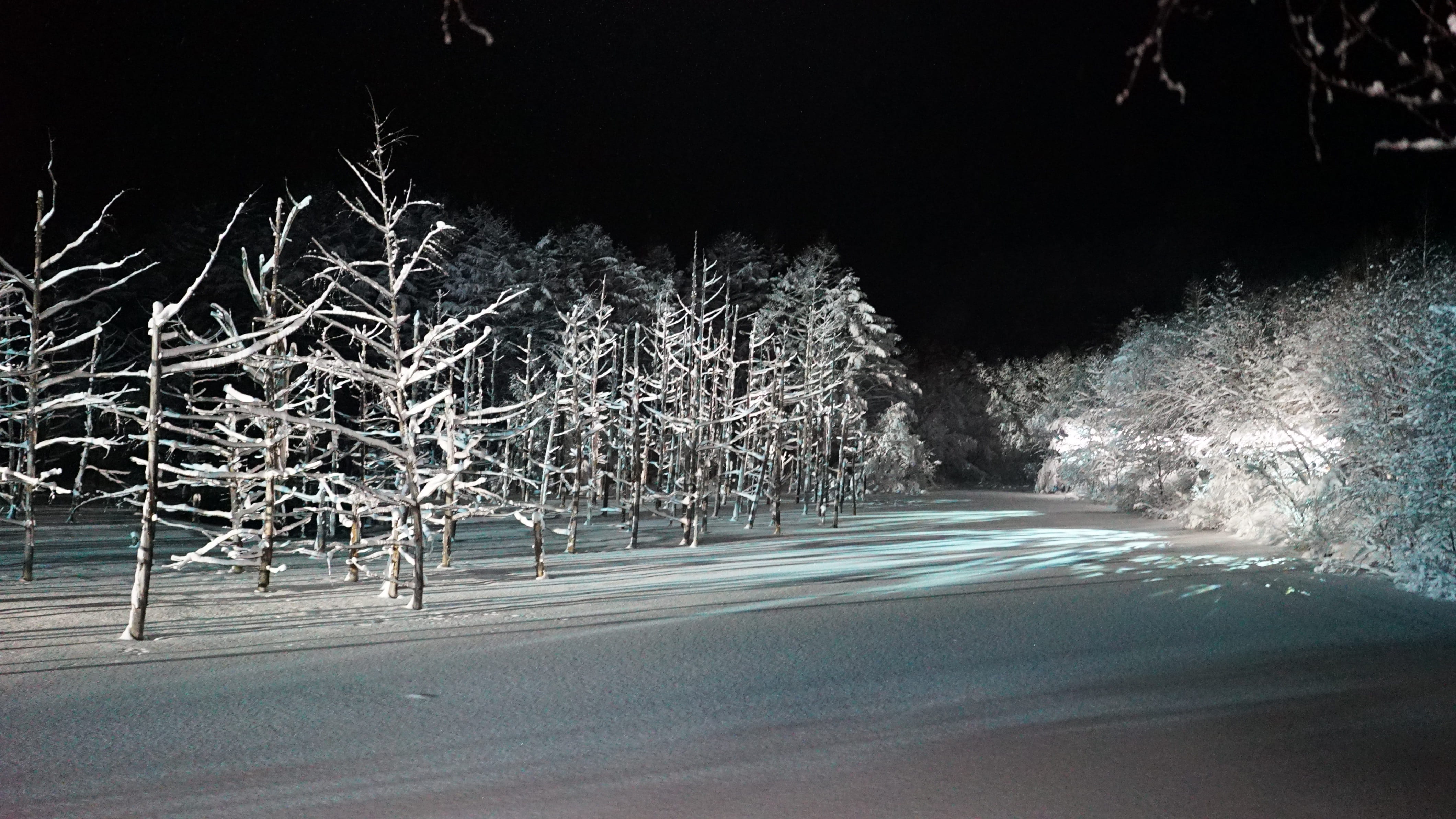 blue pond, land, road, nature, non-urban scene, biei, environment, motion, blue light, tree, winter, transportation, snowing, night, wood, forest, cold temperature, HD Wallpaper