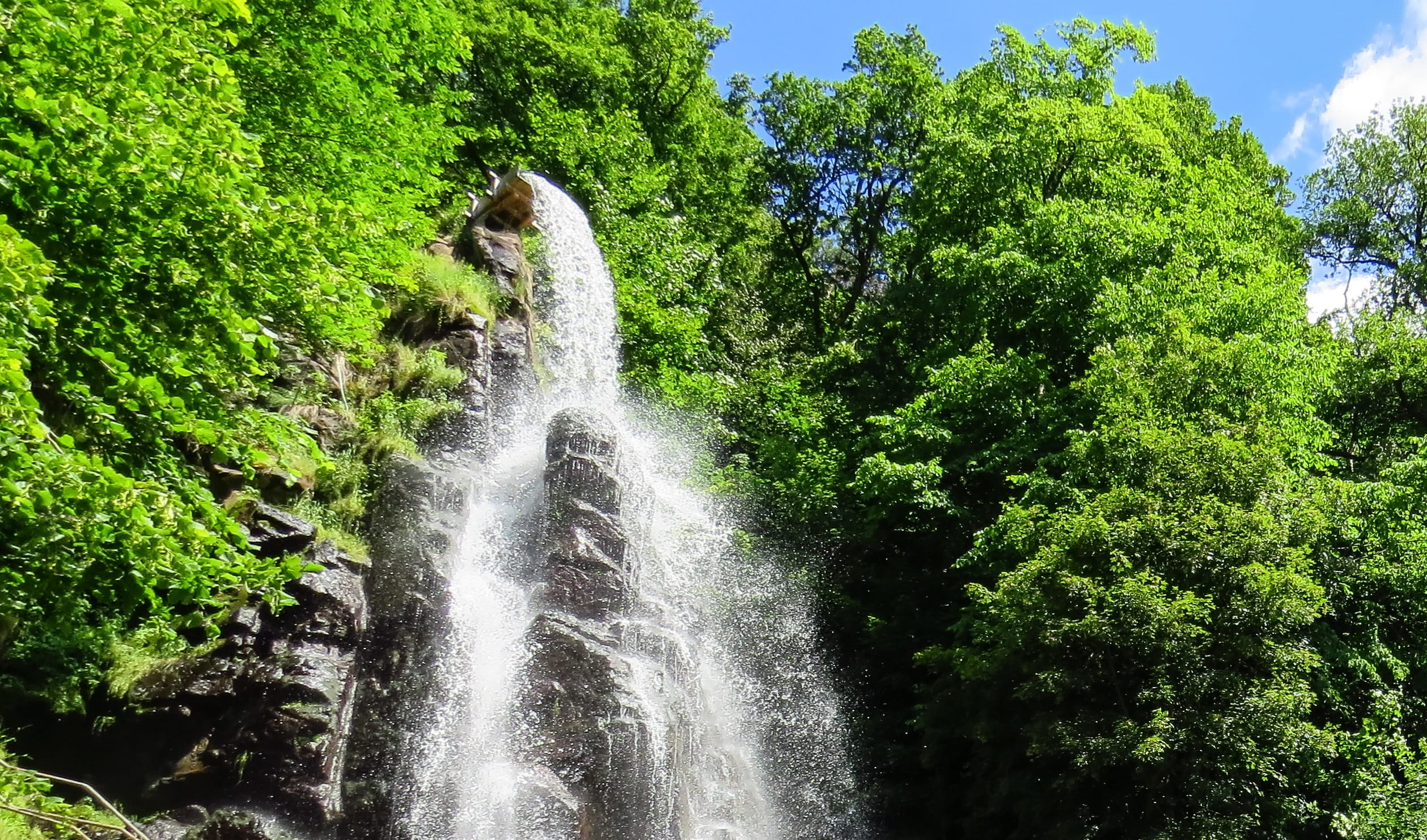 no people, water, forest, power in nature, plant, low angle view, flowing, steep, landscape, tree, motion, green color, blurred motion, scenics - nature, HD Wallpaper