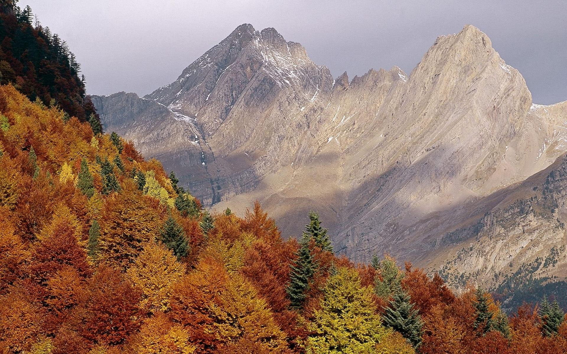 peaks, nature, autumn, stone, bald, tree, mountain, nature and landscapes, 1080P, HD Wallpaper