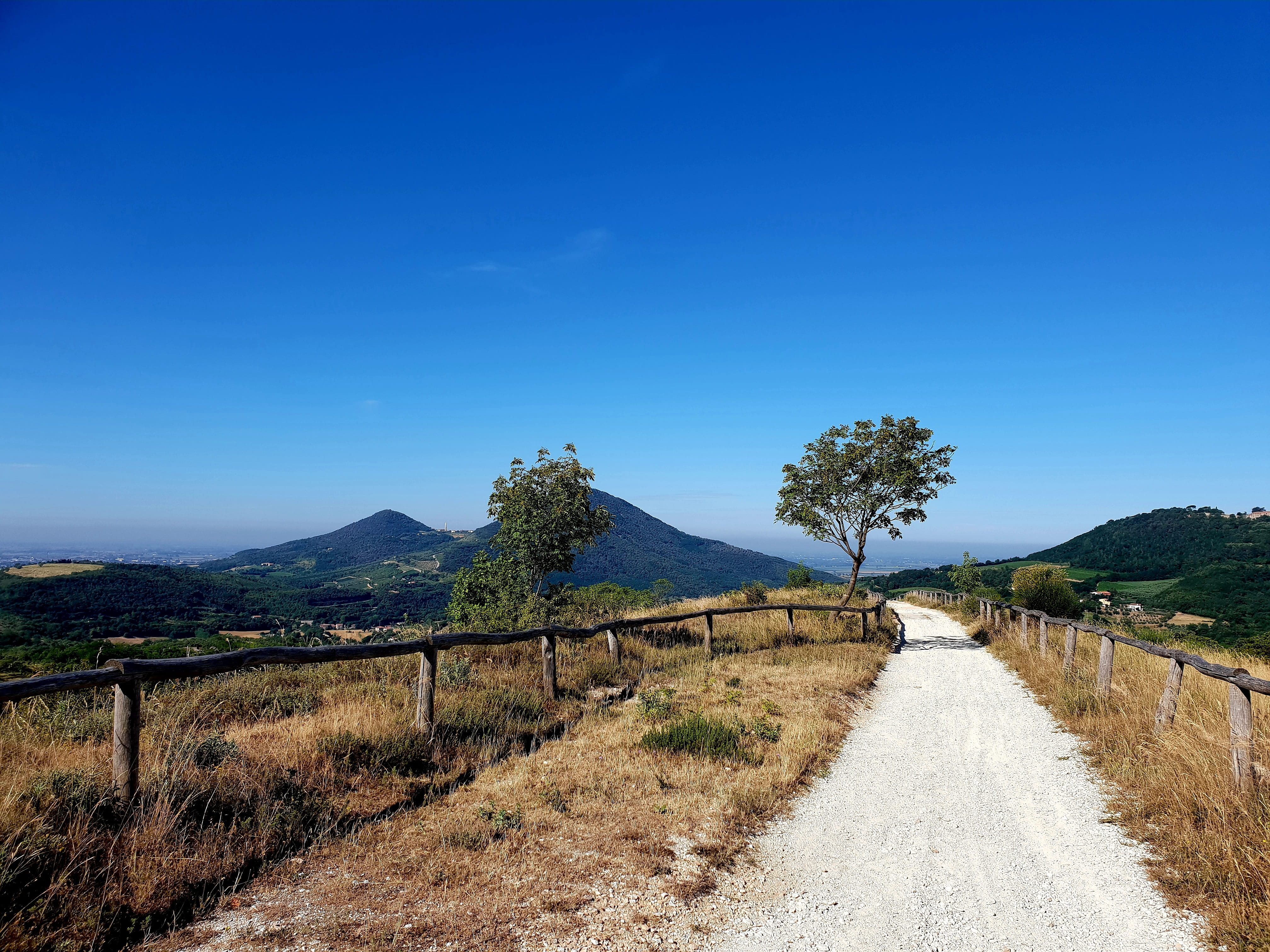road, summer, environment, tranquility, blue, passage, quiet, trees, mountains, long, the way forward, scenics - nature, no people, solitary, landscape, HD Wallpaper