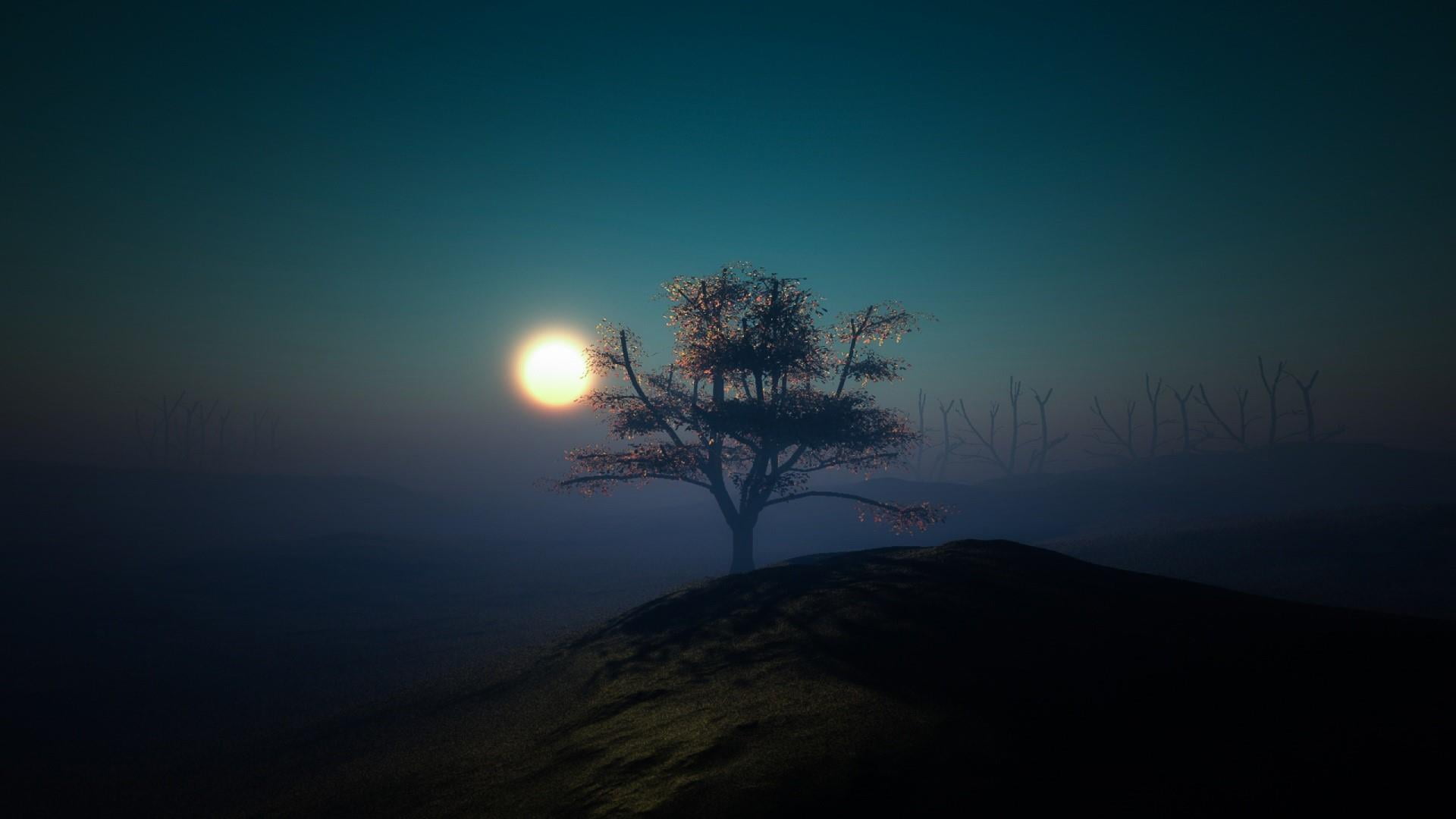 moonlight, nature, land, tranquil scene, landscape, lone tree, twilight, tree, scenics - nature, sky, non-urban scene, lonely tree, full moon, hill, outdoors, HD Wallpaper