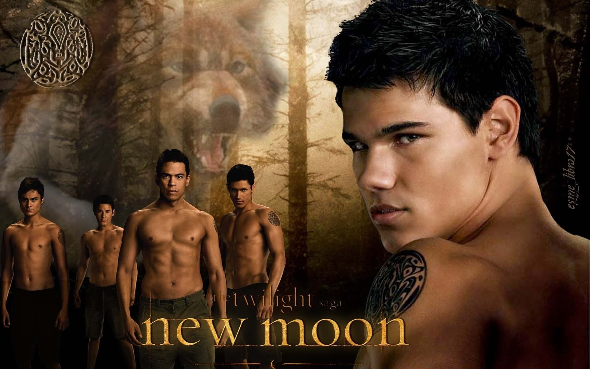 1080P, Movie, The Twilight Saga: New Moon, HD Wallpaper
