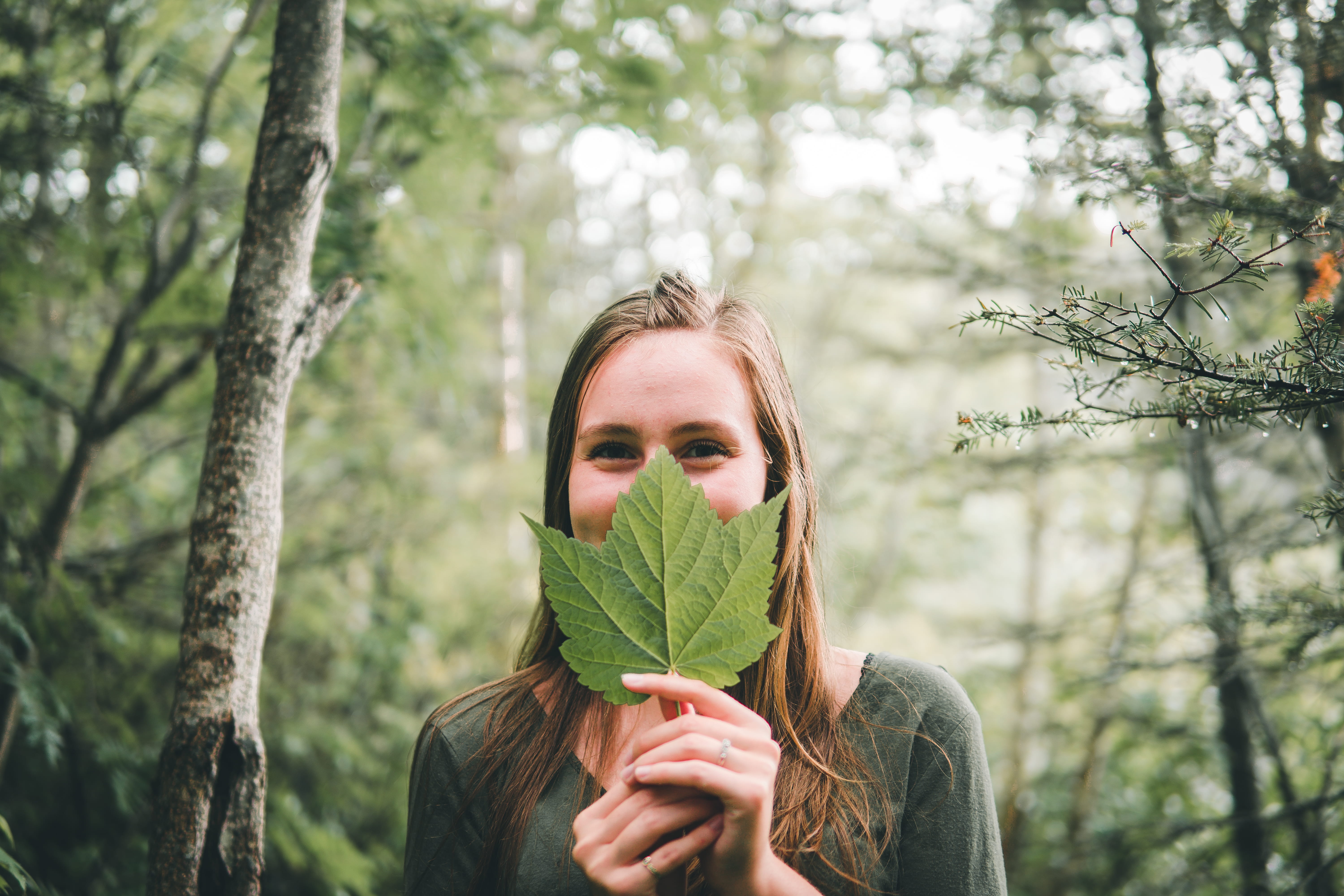 woman, one Woman Only, hiding, caucasian Ethnicity, season, plant, young Women, woodland, bokeh, portrait, covering, day, females, cheerful, young Adult, HD Wallpaper