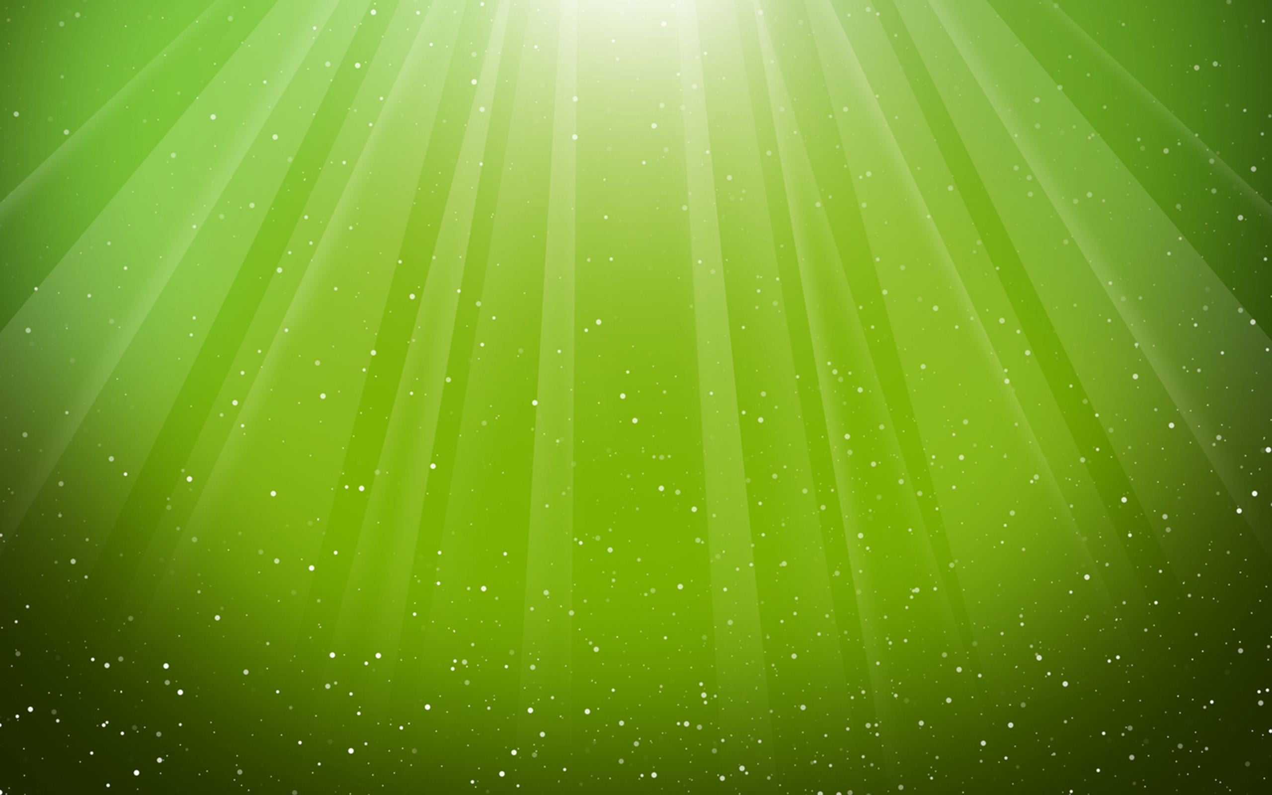 dew, light - Natural Phenomenon, celebration, outdoors, palm leaf, backgrounds, pattern, illuminated, sunbeam, growth, wet, plant, leaf, full frame, HD Wallpaper