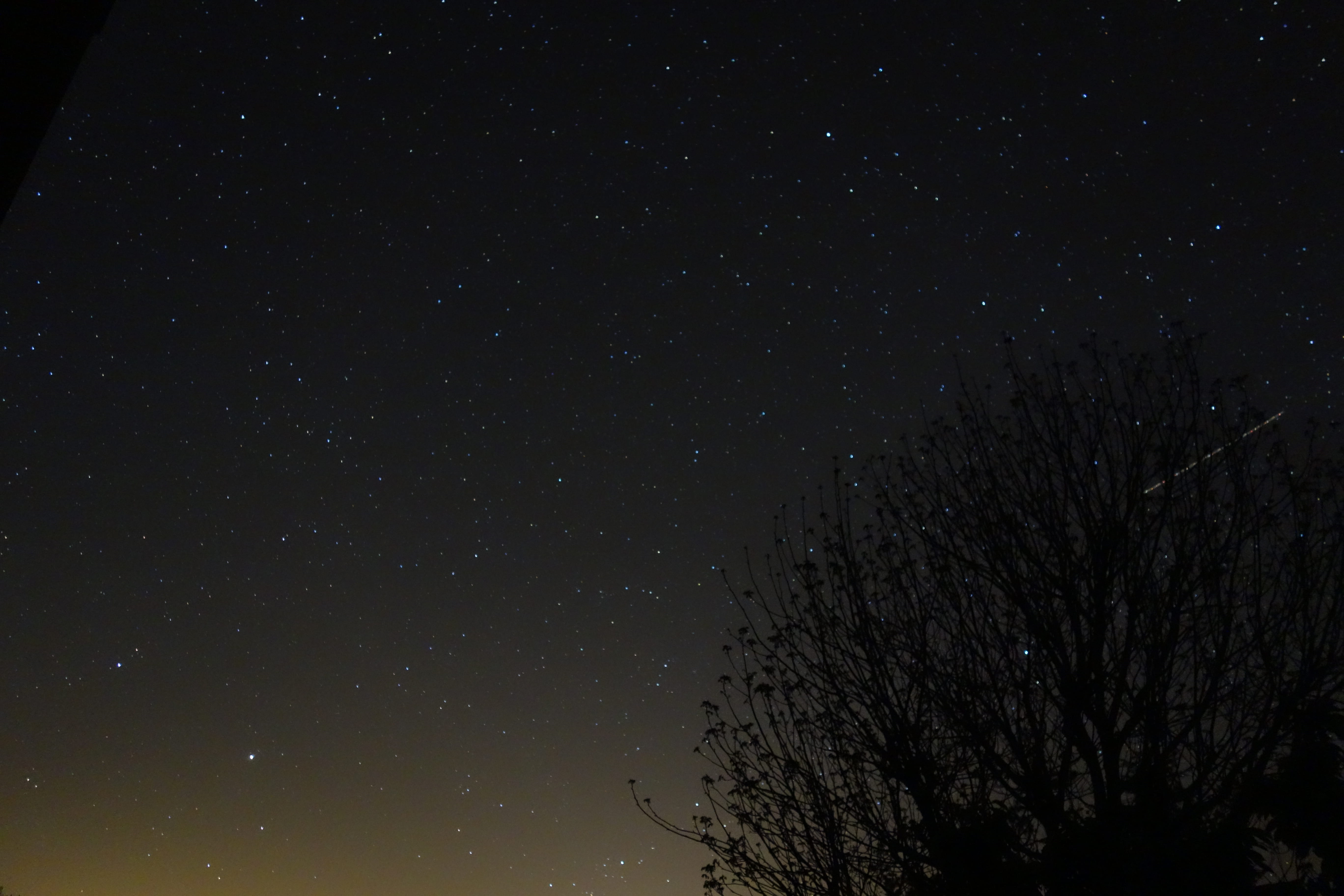 5K, contrast, star field, tranquility, stars, tree, no people, landscape, france, outdoors, night, dark, space and astronomy, beauty in nature, silhouette, HD Wallpaper
