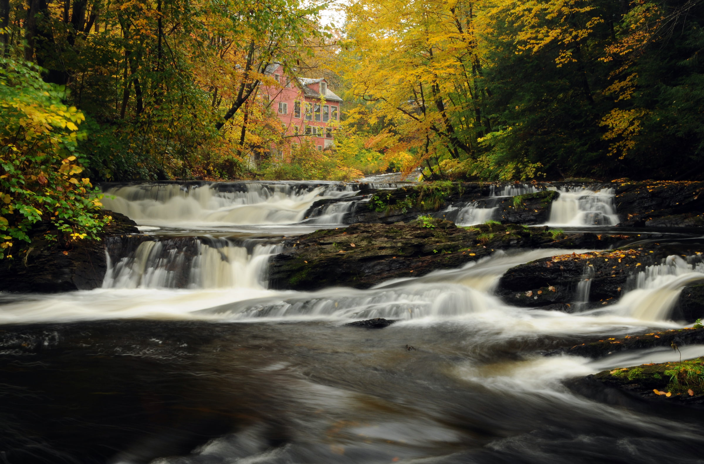 forest, river, freshness, stream, scenics, photo, outdoors, nature, waterfall, montague, water, 1080P, falling, autumn, Montague  Massachusetts, beauty In Nature, HD Wallpaper