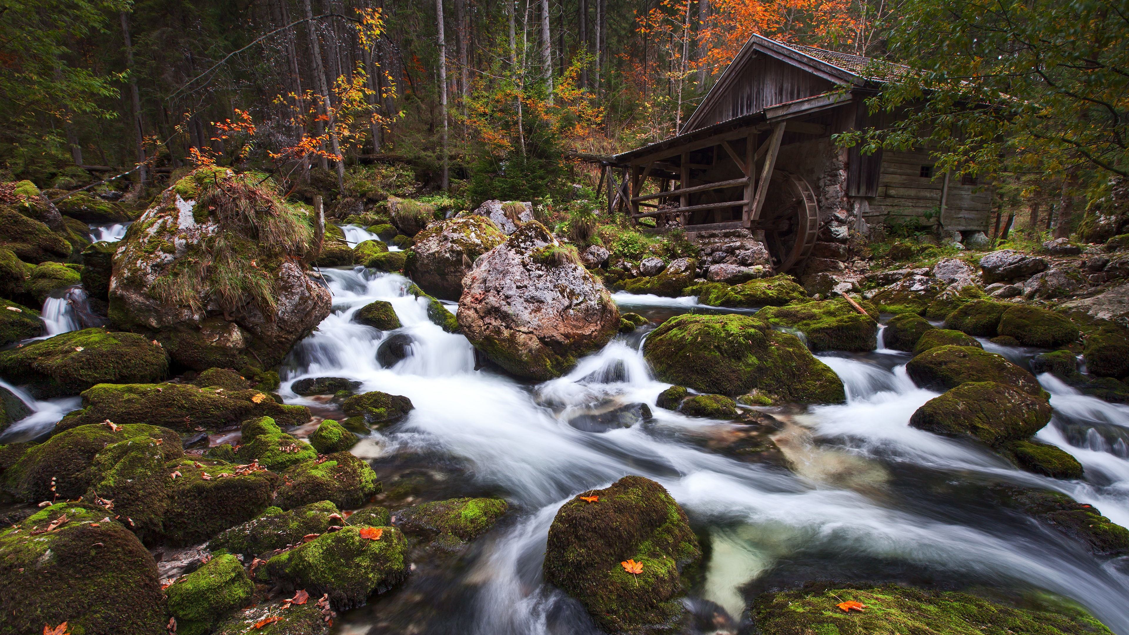Forest, Rock, Watermill, Mill, 4K, Man Made, Stream, Fall, Landscape, HD Wallpaper