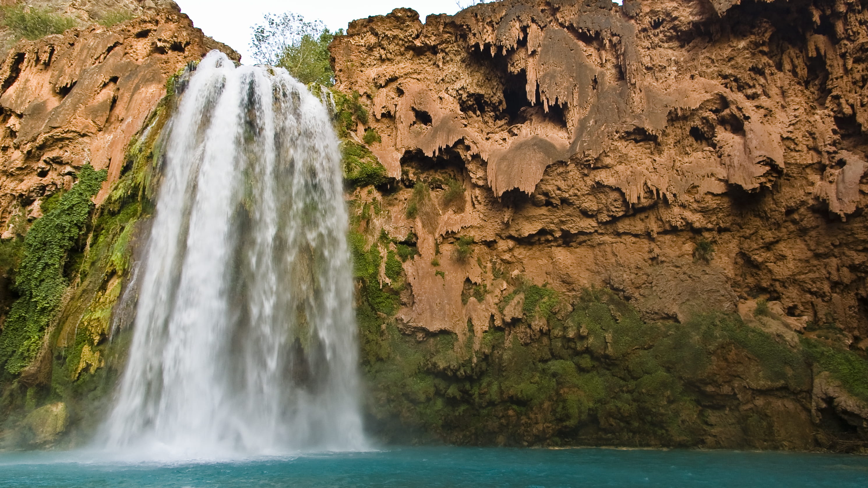 land, falling water, waterfall, havasupai, splashing, flowing water, power in nature, rock, blurred motion, non-urban scene, long exposure, grand canyon, HD Wallpaper