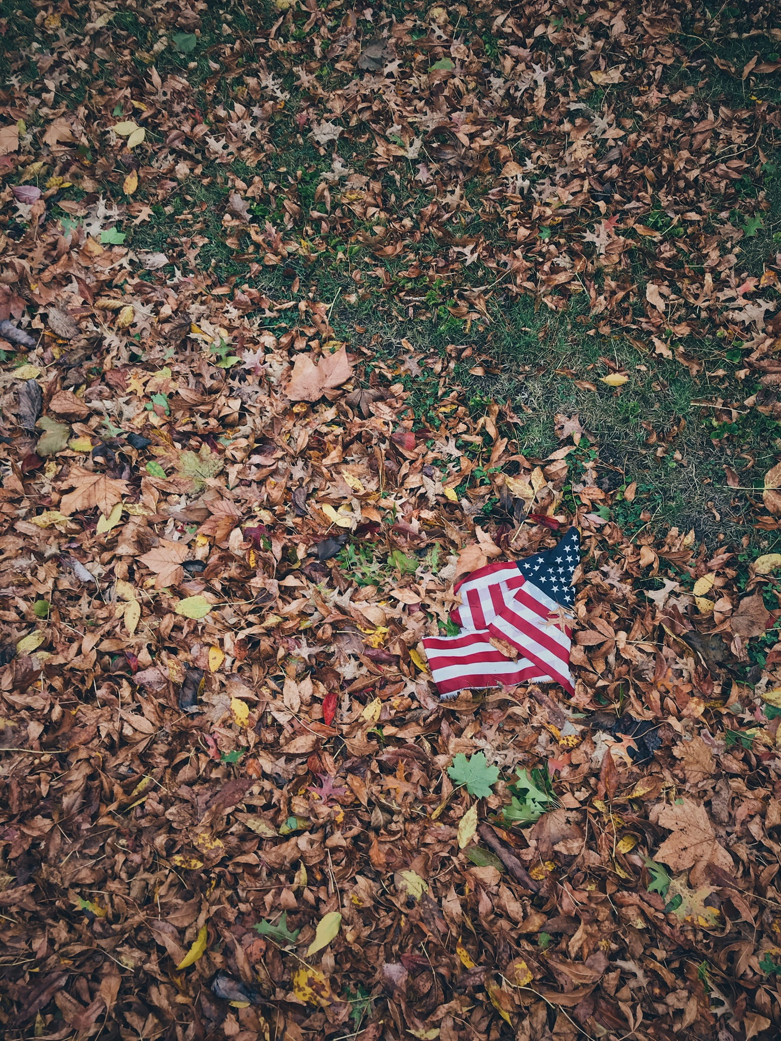 leaf, united states, land, america, change, plant part, nature, leafs, day, flag, american, no people, brown, falling, high angle view, autumn, field, striped, Phone HD Wallpaper