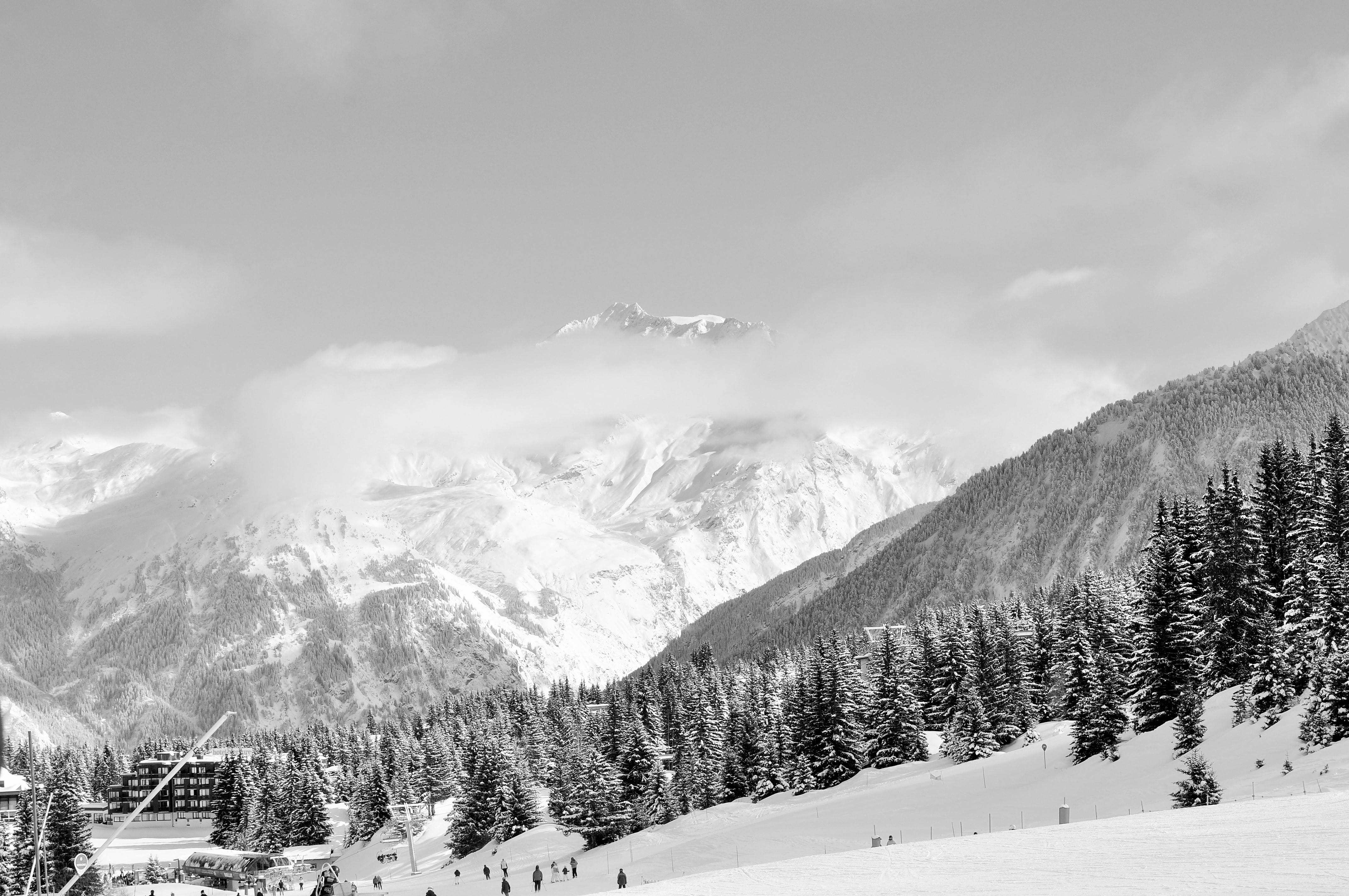 ski, pine tree, snow, sport, black and white, no people, coniferous tree, landscape, summit, winter sports, nature, three valleys, tree, forest, hobbies, HD Wallpaper