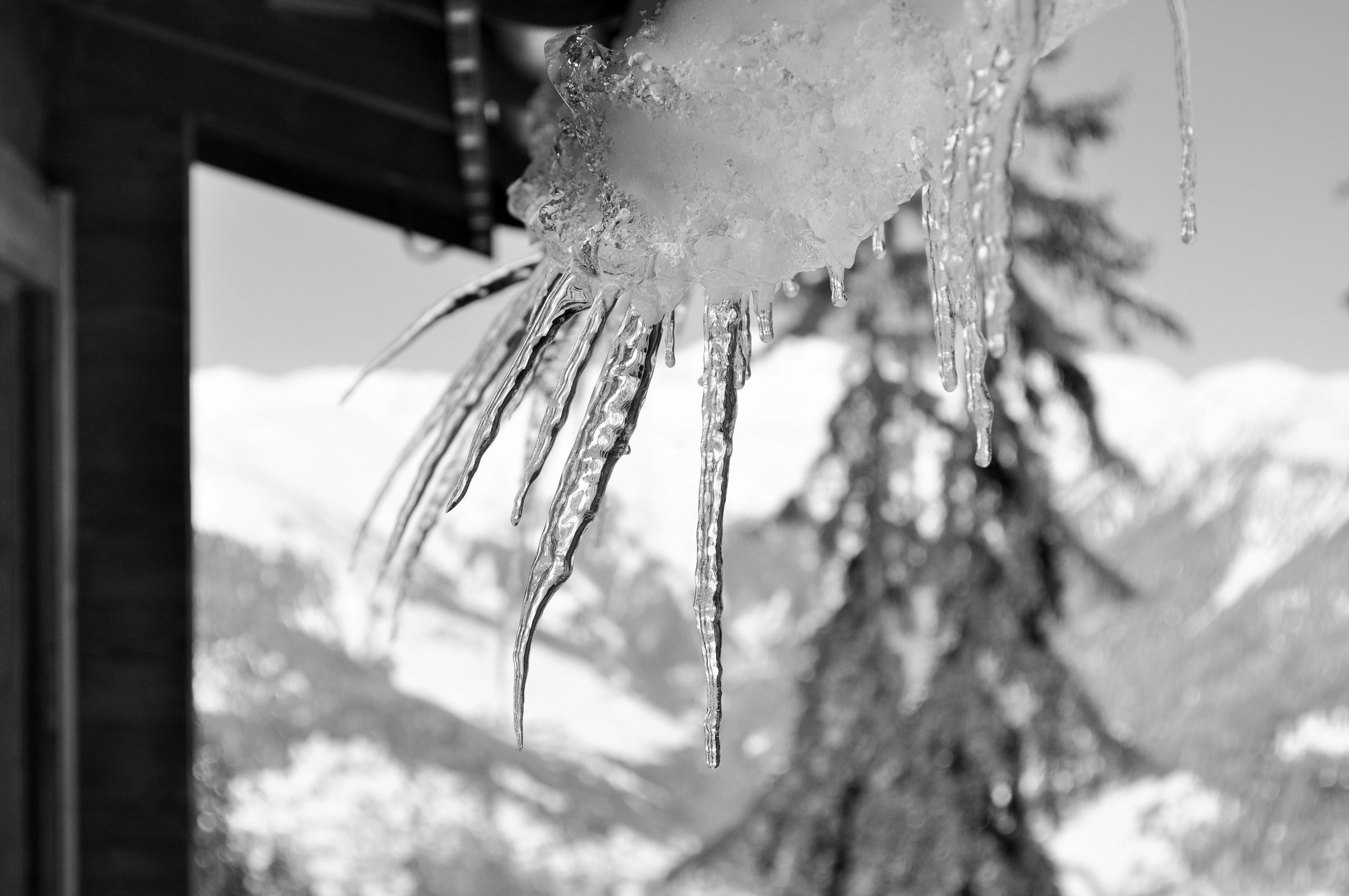 stalactite, white, plant, winter, icicle, pine tree, courchevel, ice curtain, snow, nature, no people, haute-savoie, frozen, cold temperature, selective focus, HD Wallpaper