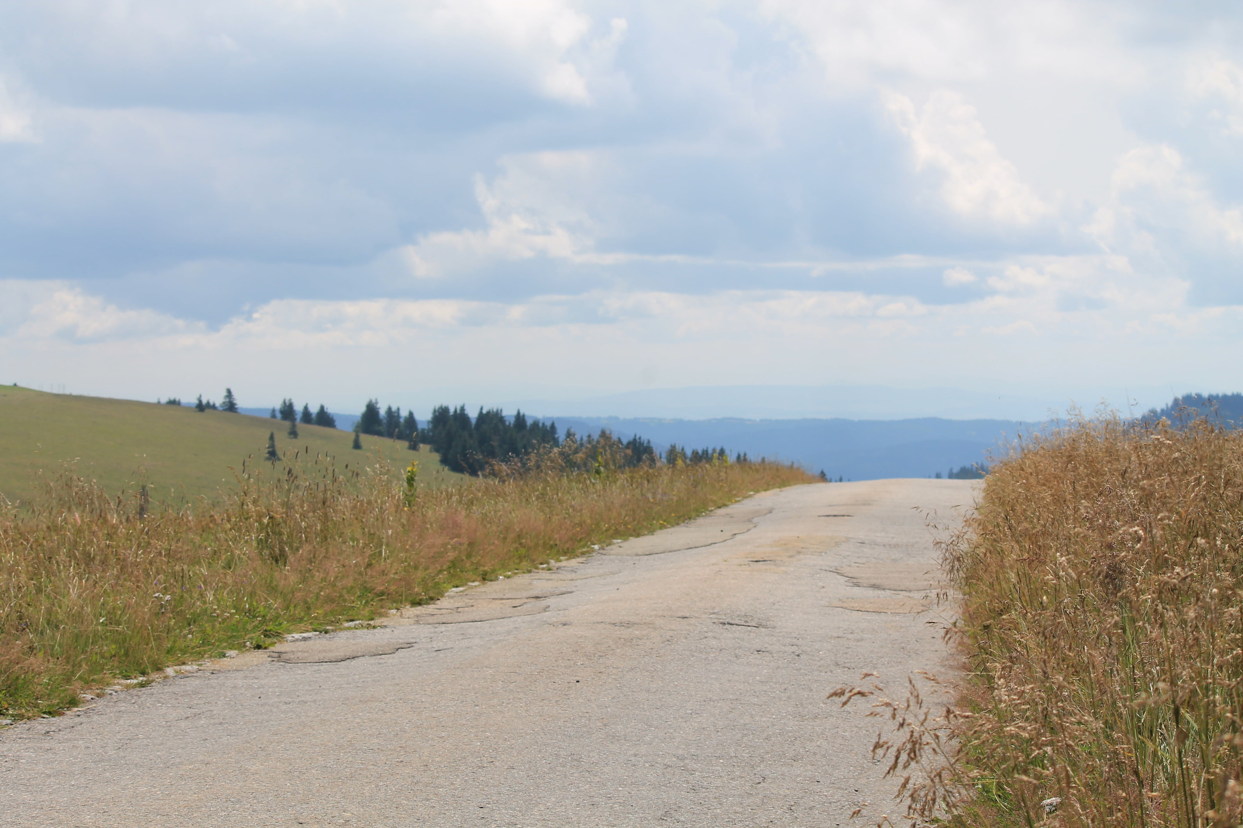 covered, trail, environment, nature, feldberg, cloud - sky, mountain, black forest, the way forward, outdoors, tranquil scene, tourist, scenics - nature, HD Wallpaper