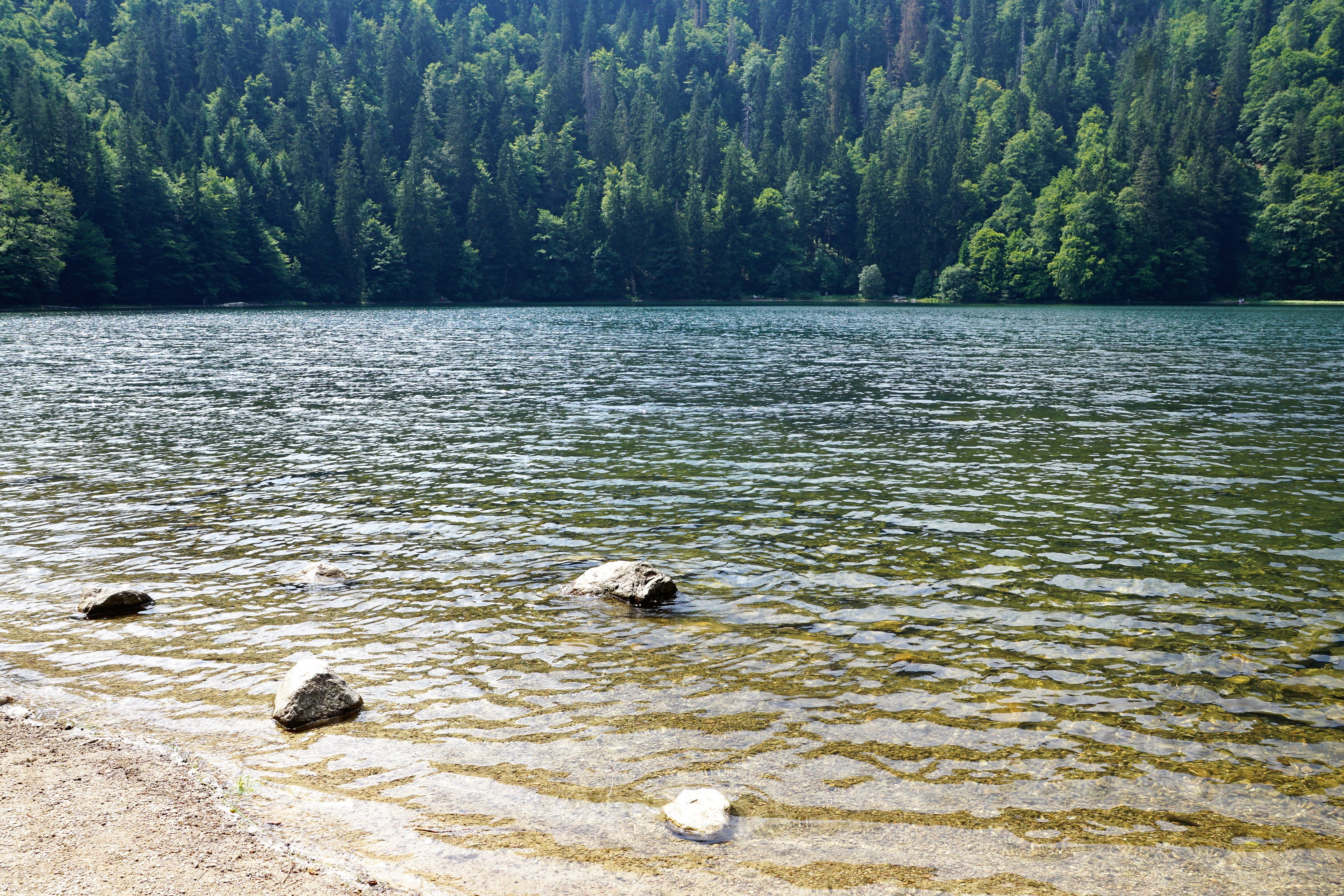 rest, scenics - nature, day, waterfront, hill, germany, alaska, 5K, resort, forest, non-urban scene, stones, lake, animal, freiburg, tranquil scene, away, HD Wallpaper