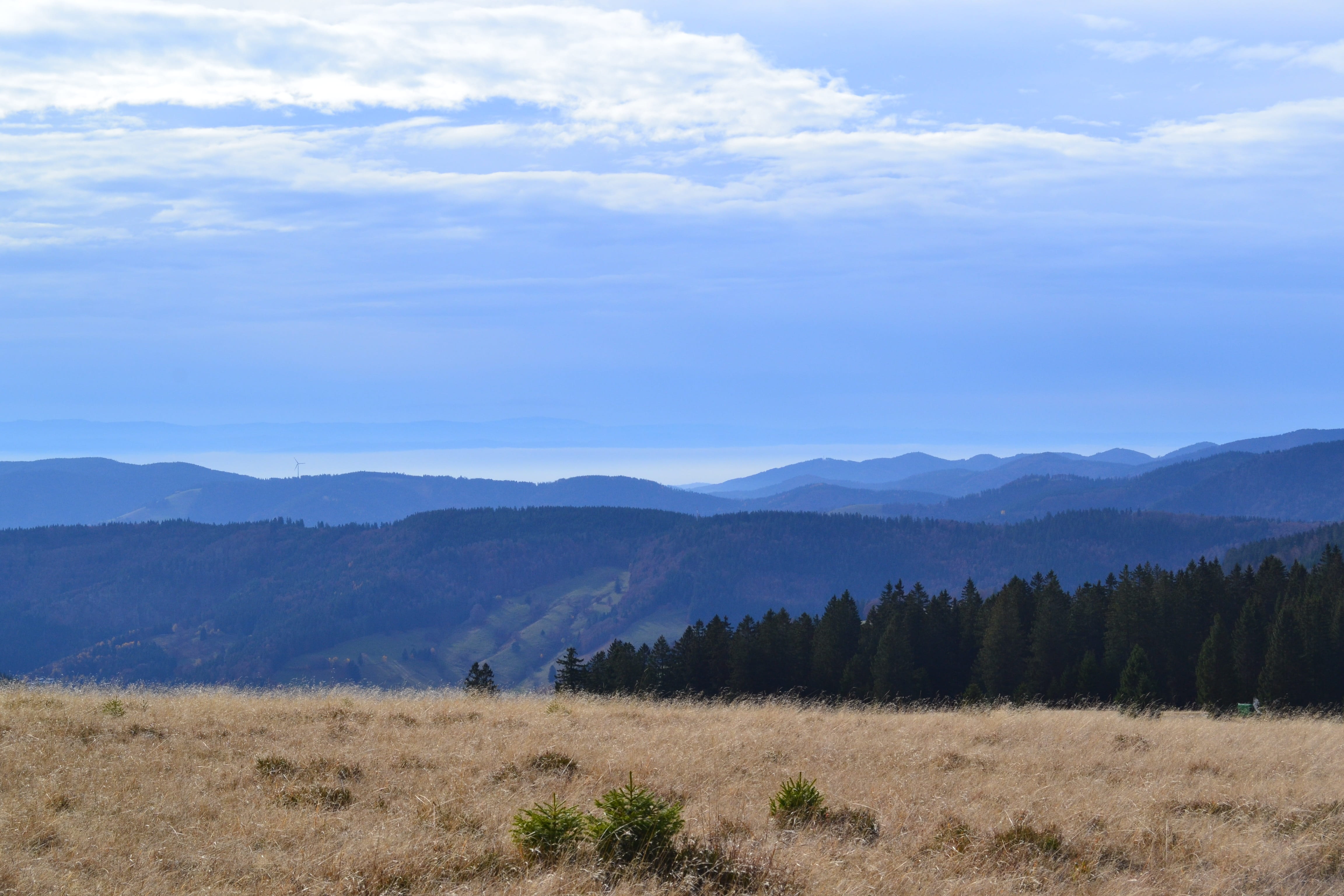 scenics, outdoors, mountain, land, View, cloud - sky, Black Forest, day, beauty in nature, tranquil scene, sky, scenics - nature, landscape, Feldberg, non-urban scene, HD Wallpaper