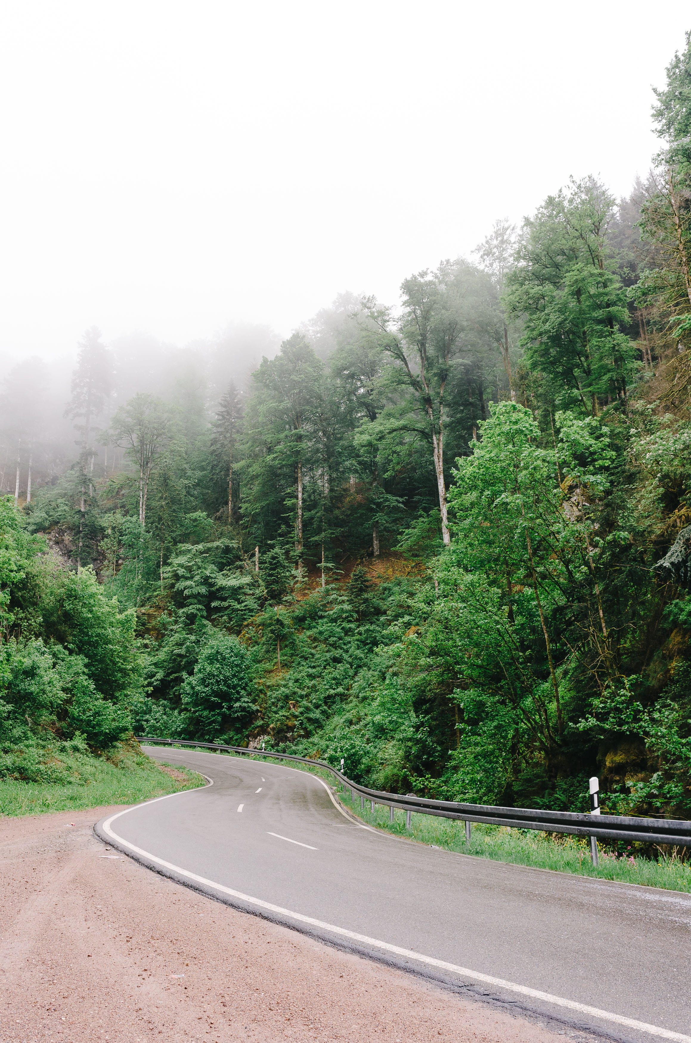 black, forest, road marking, symbol, highlands, beauty in nature, summer, european, no people, fog, mountains, woodland, land, hills, tourism, tree, crash barrier, Phone HD Wallpaper