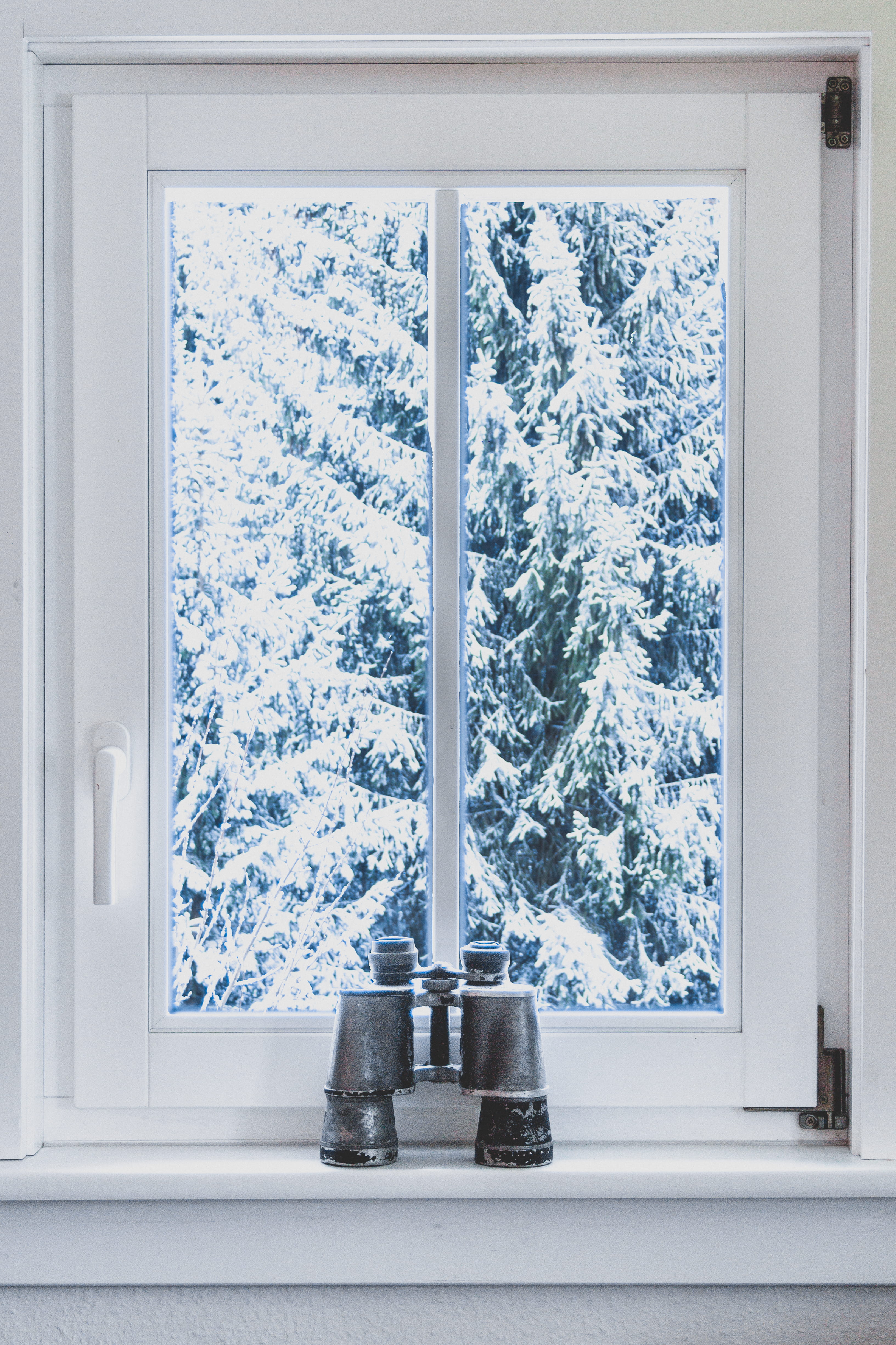 indoors, day, germany, no people, black, winter, window frame, 78126, forest, transparent, plant, growth, snow, snowcapped mountain, königsfeld im schwarzwald, Phone HD Wallpaper