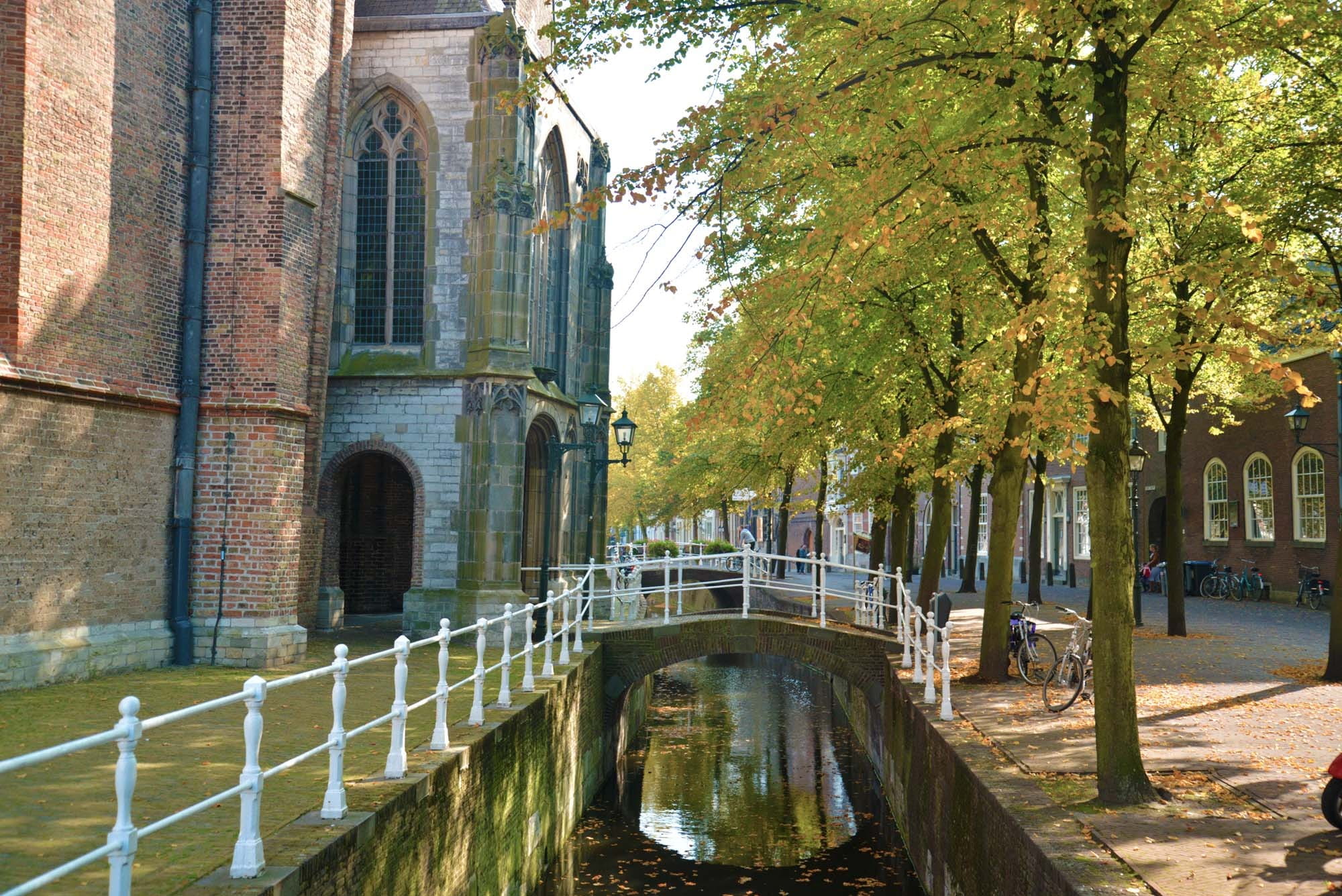 old town, Delft, history, nature, growth, tree, connection, no people, transportation, travel destinations, building, 1080P, plant, travel, arch bridge, HD Wallpaper